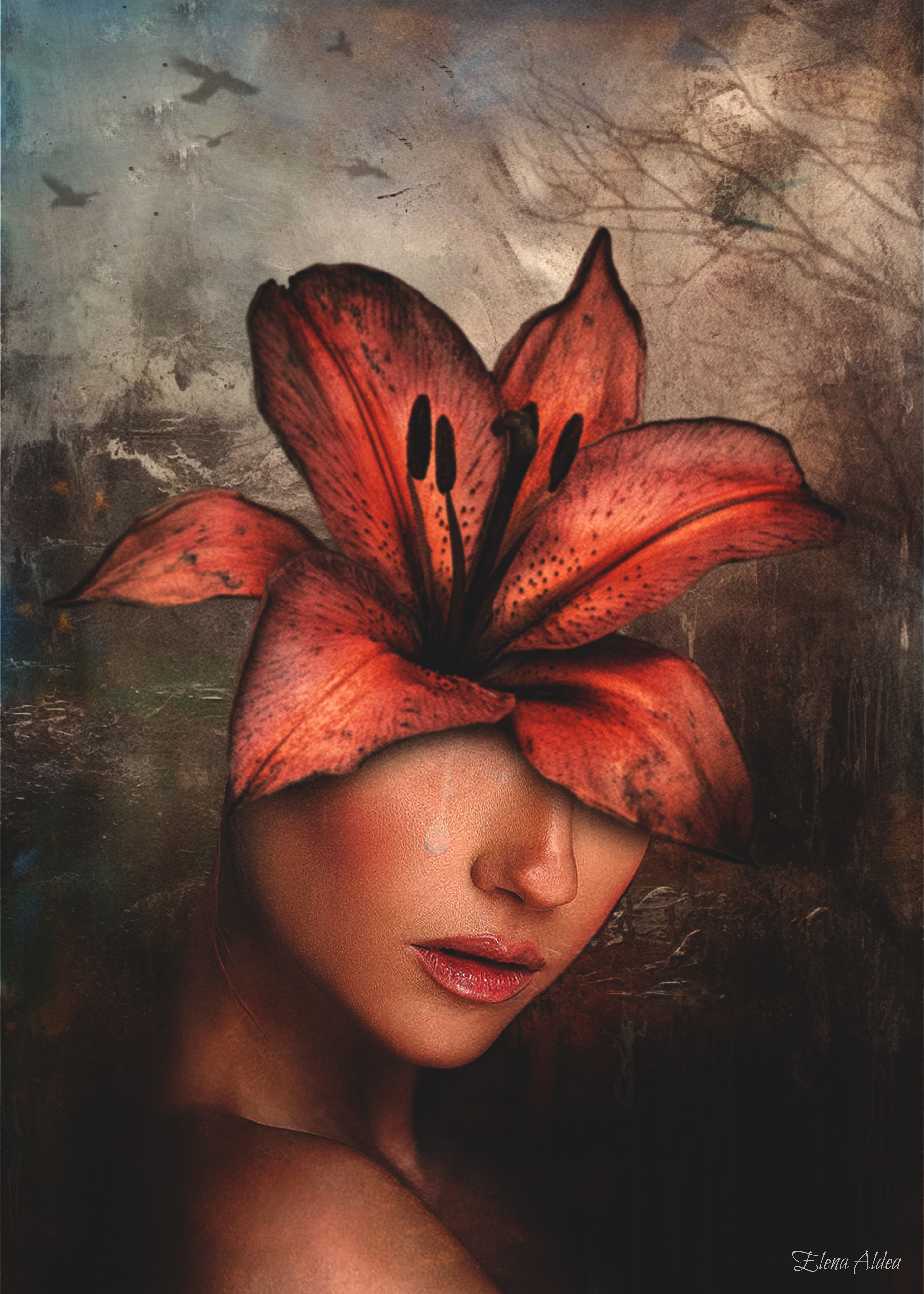 Lament of the Lily