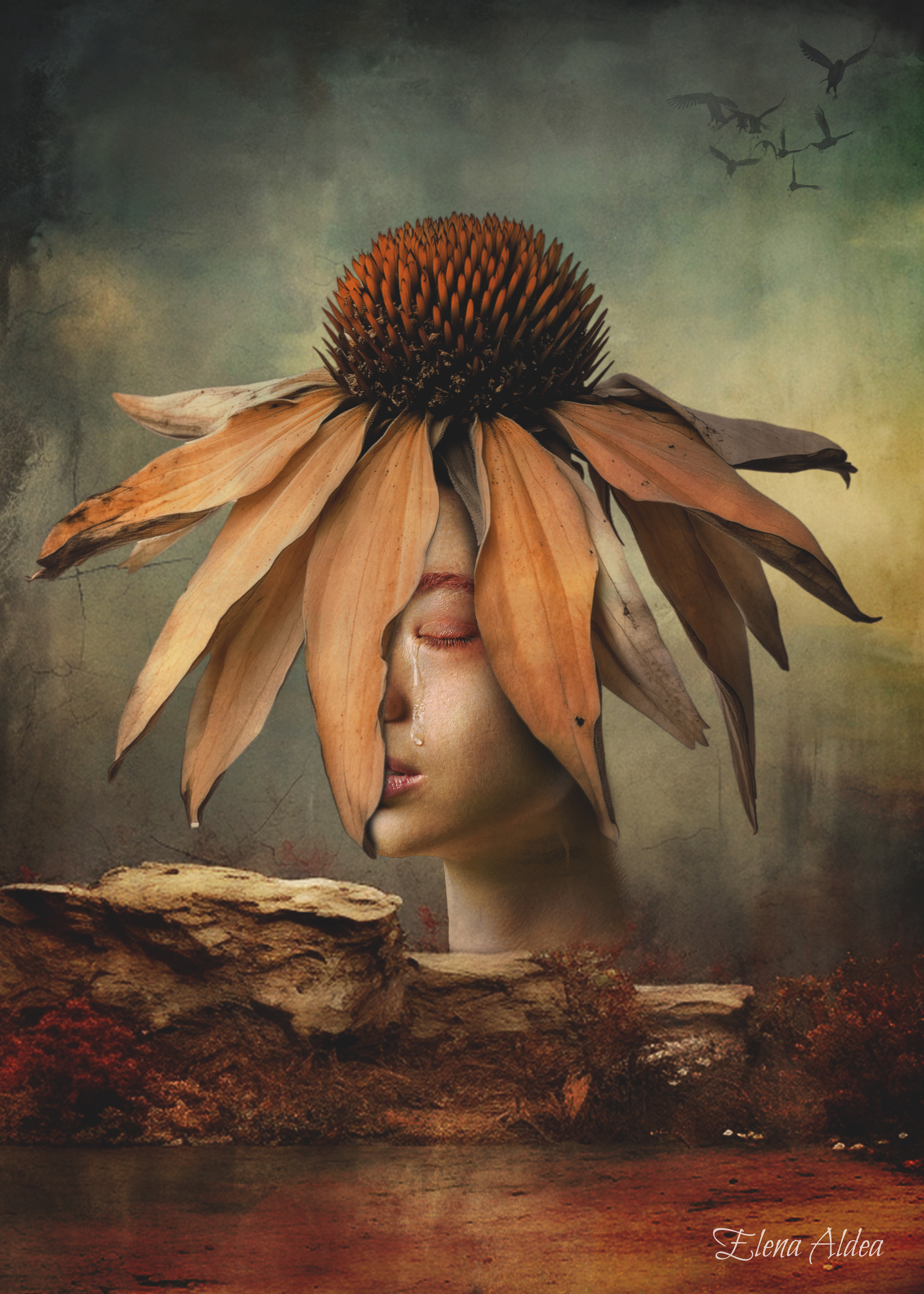 Withering Dreams