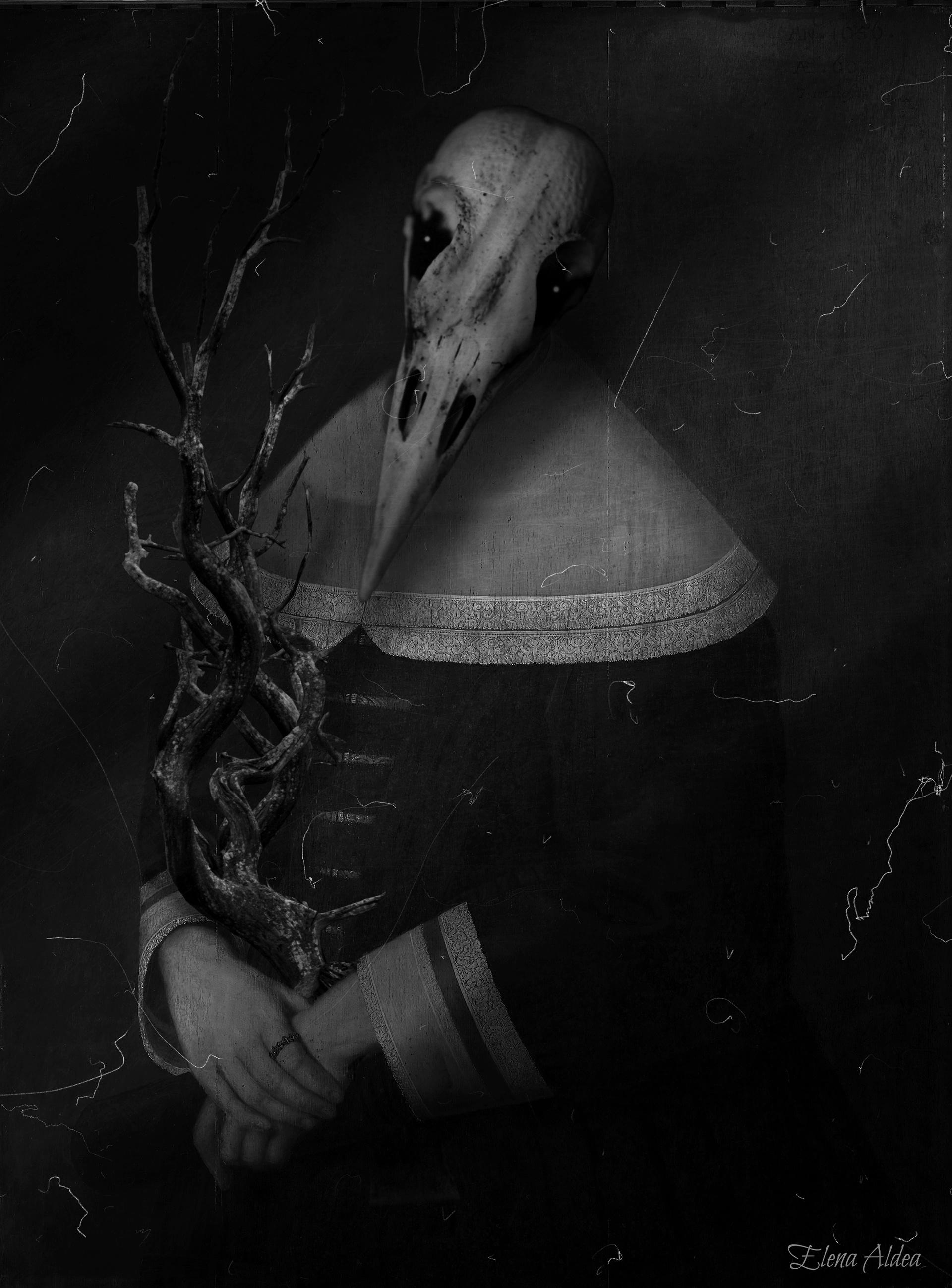 Death nature