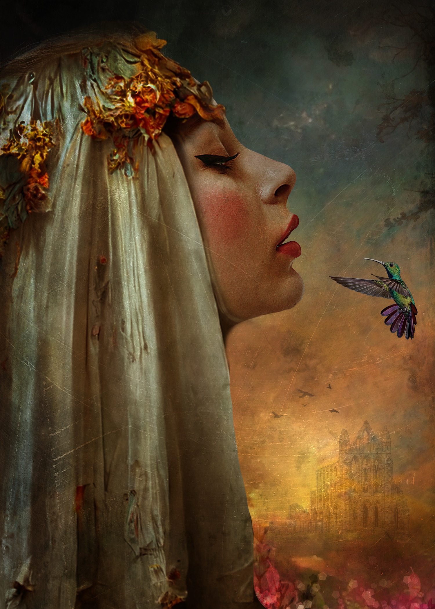 Hummingbird Lady