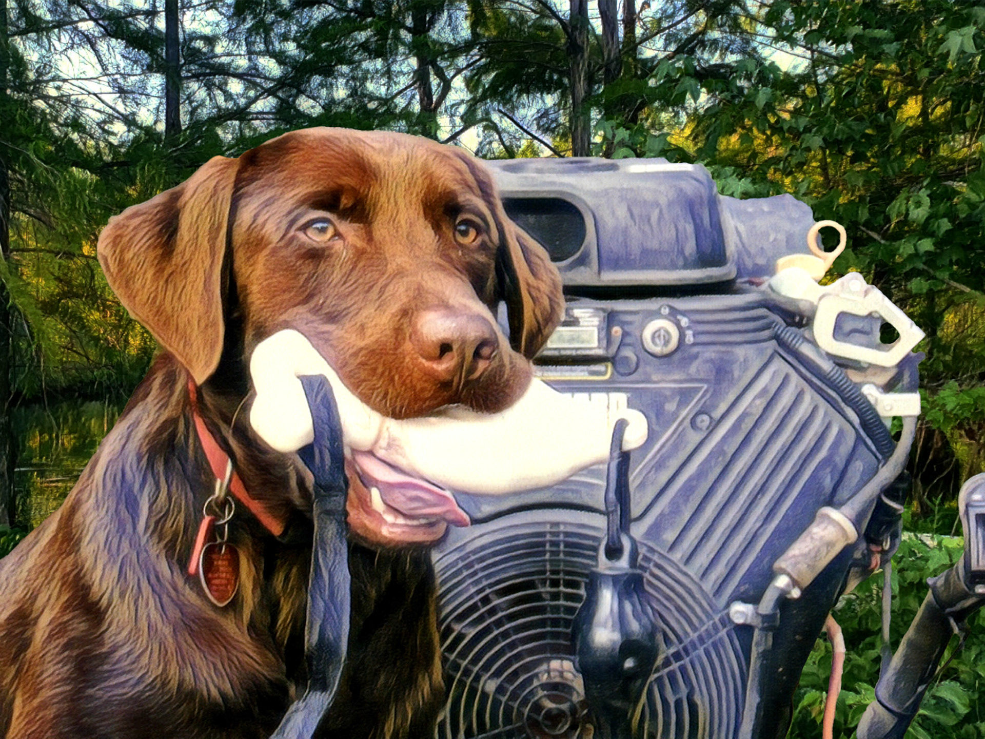 Let Me Drive Da Boat