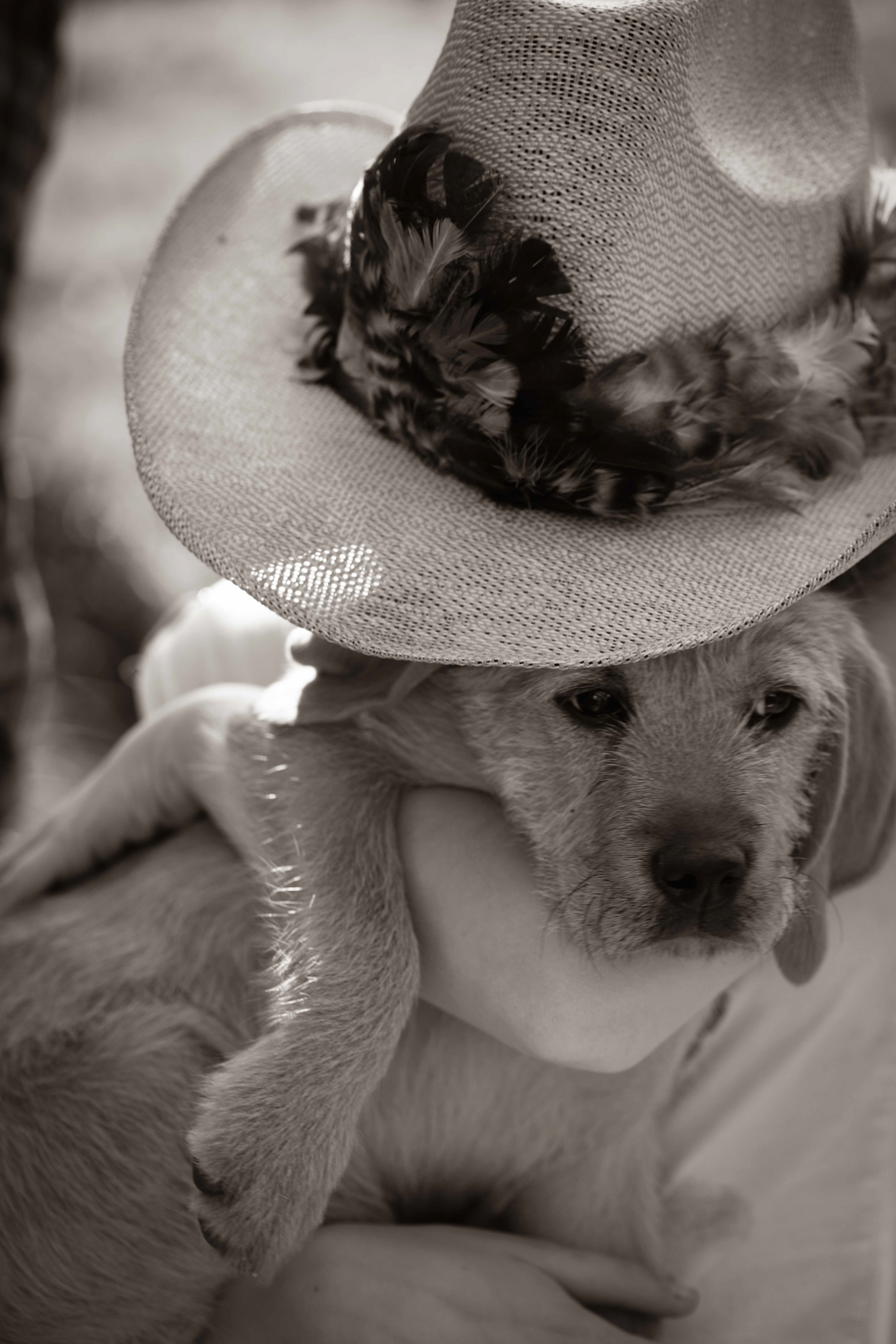 Syco & a hat