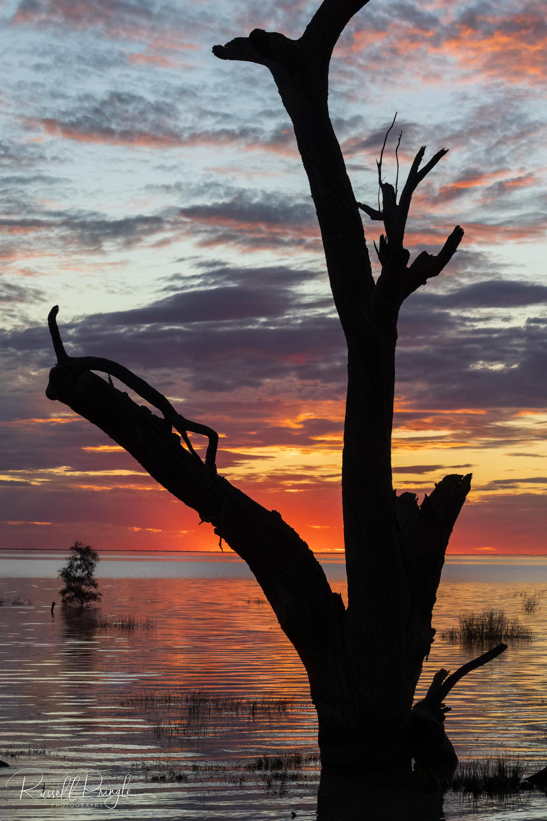 Menindee Lakes, NSW. Australia