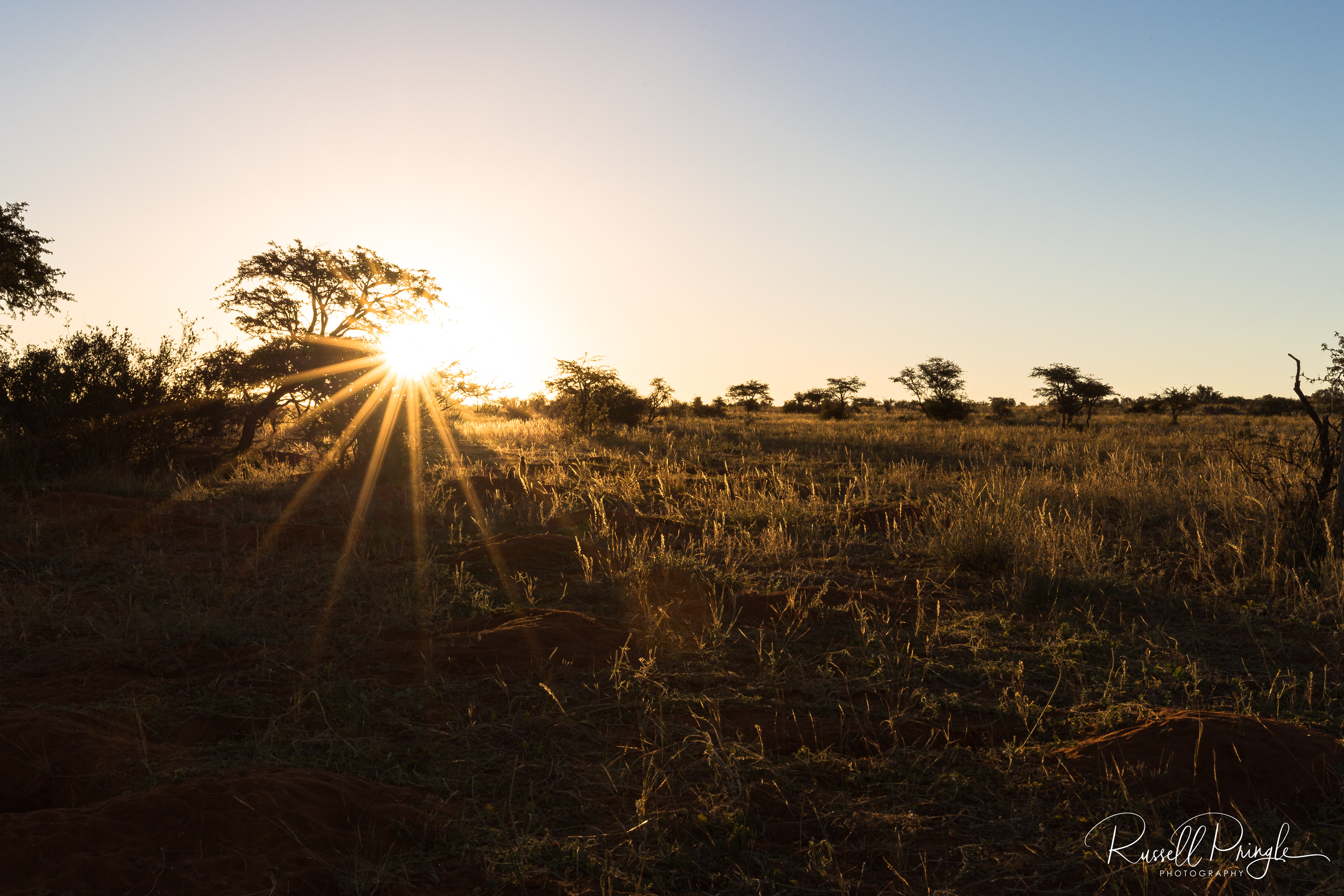 Tswalu Kalahari, Sth Africa