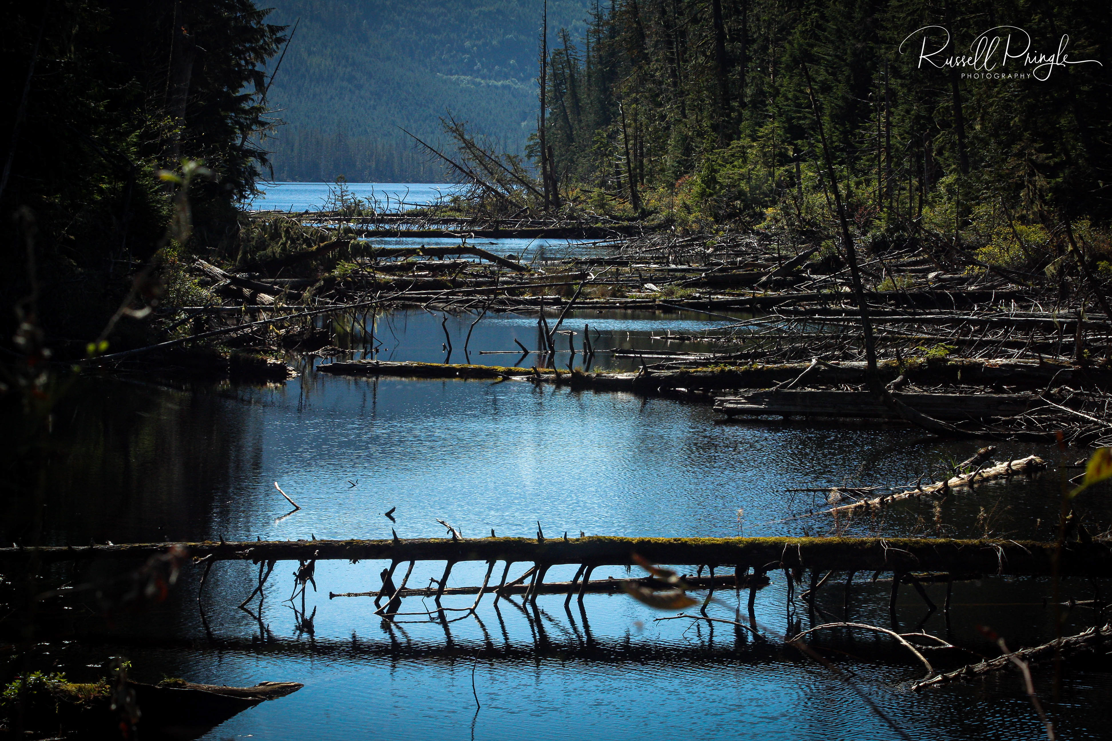 Tom Browne Lake-BC, Canada