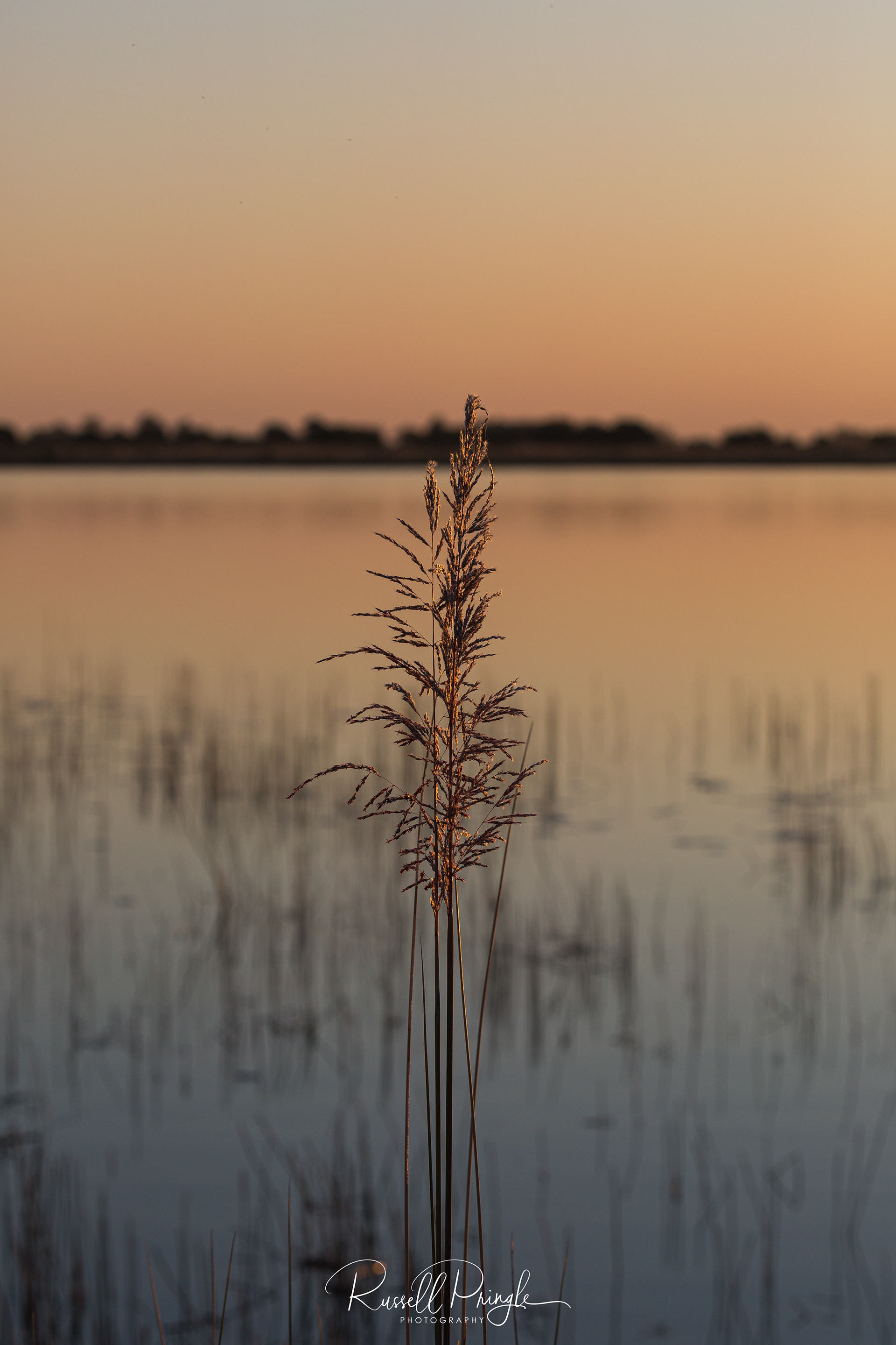 Okavango Delta, Botswana