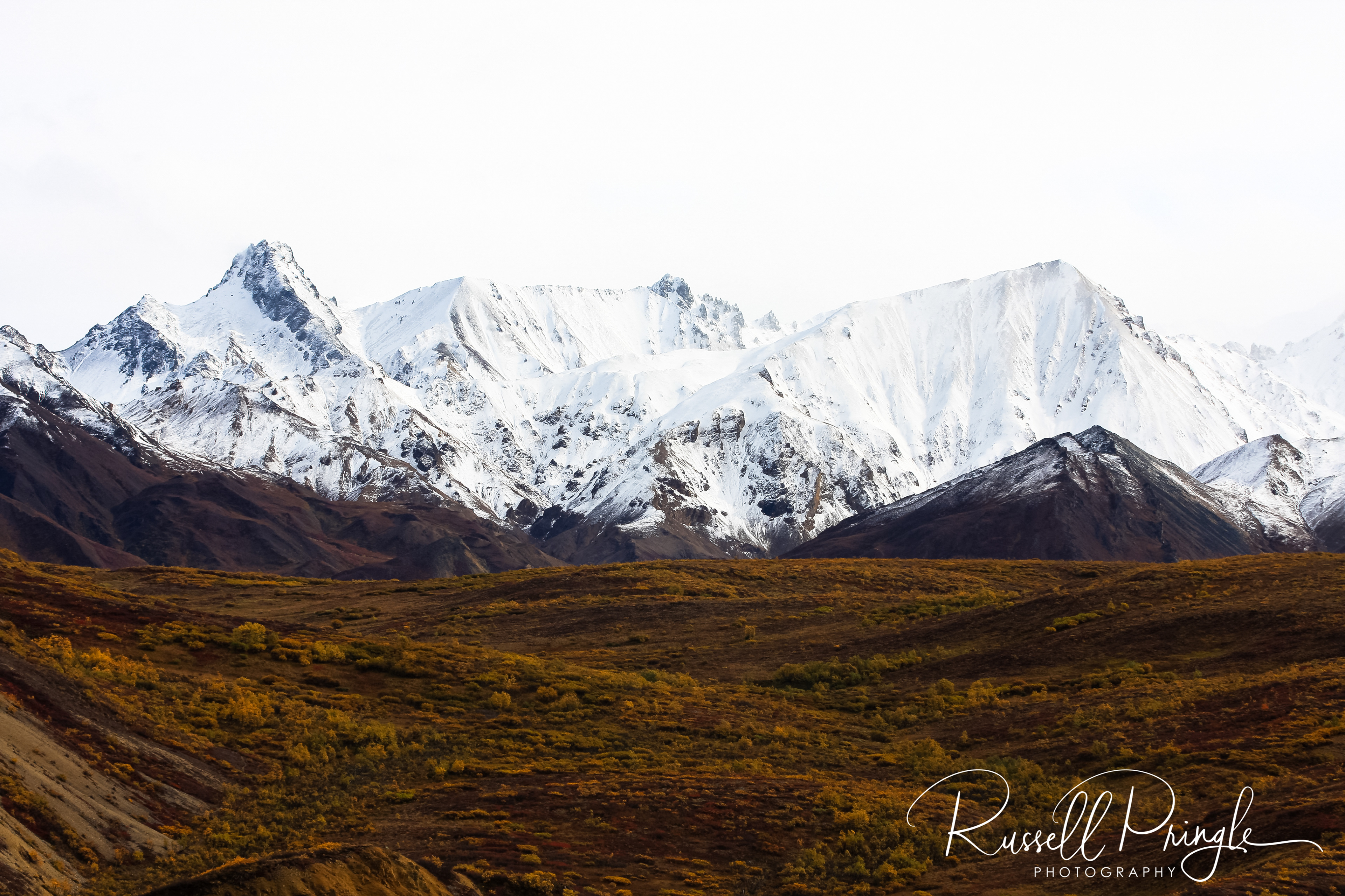 Denali NP, Alaska