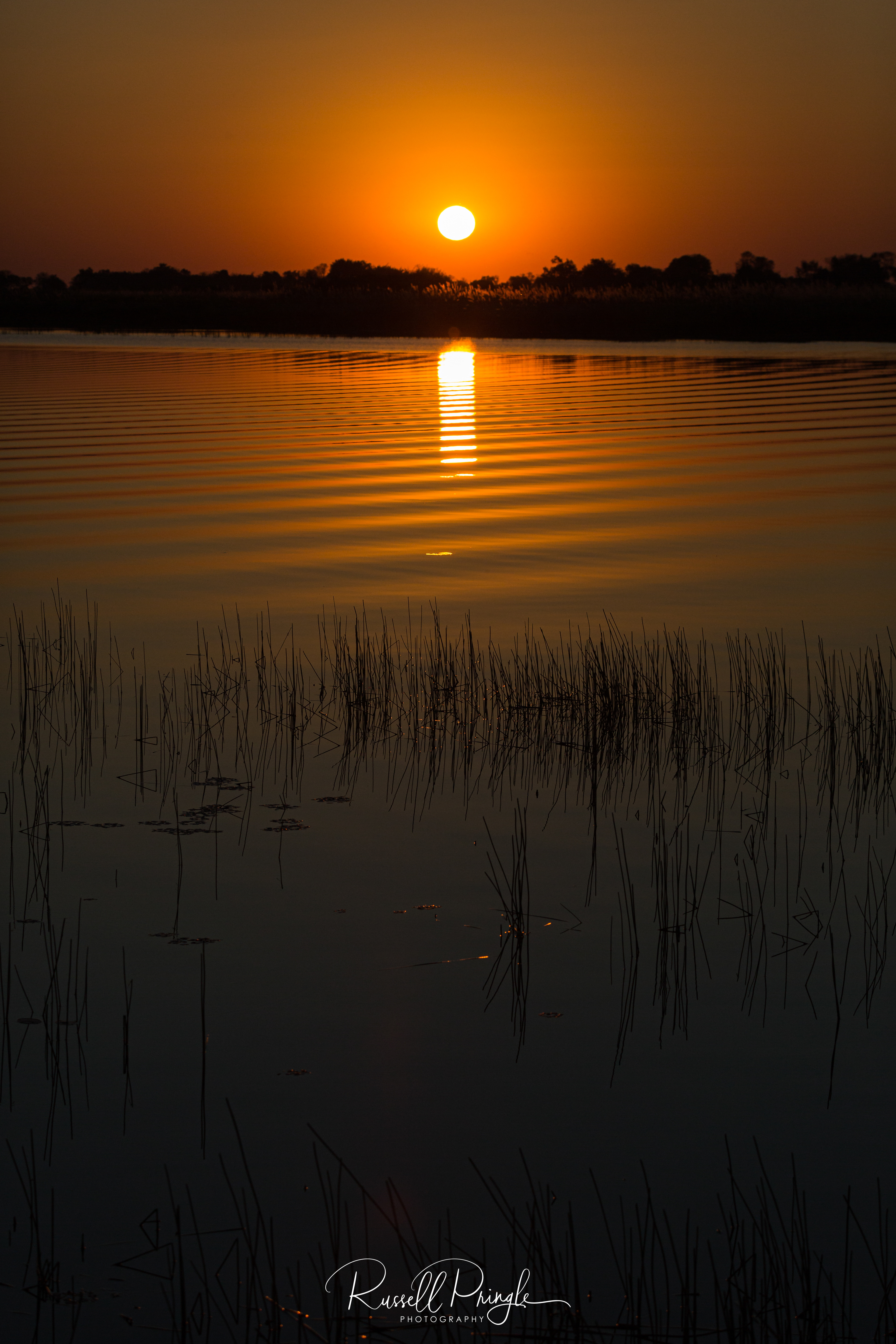 Okavango Delta, Botswana