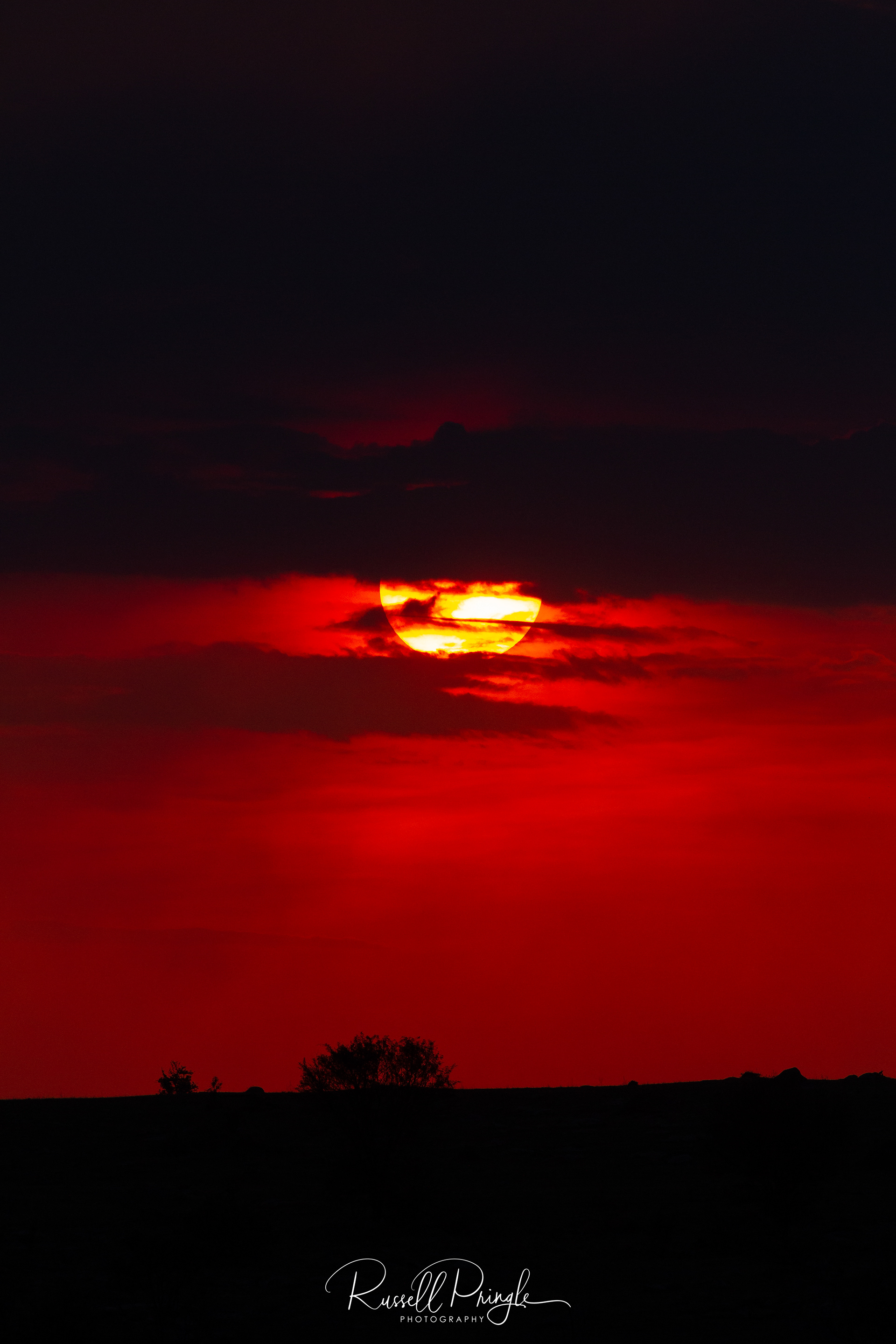 Serengeti NP, Tanzania