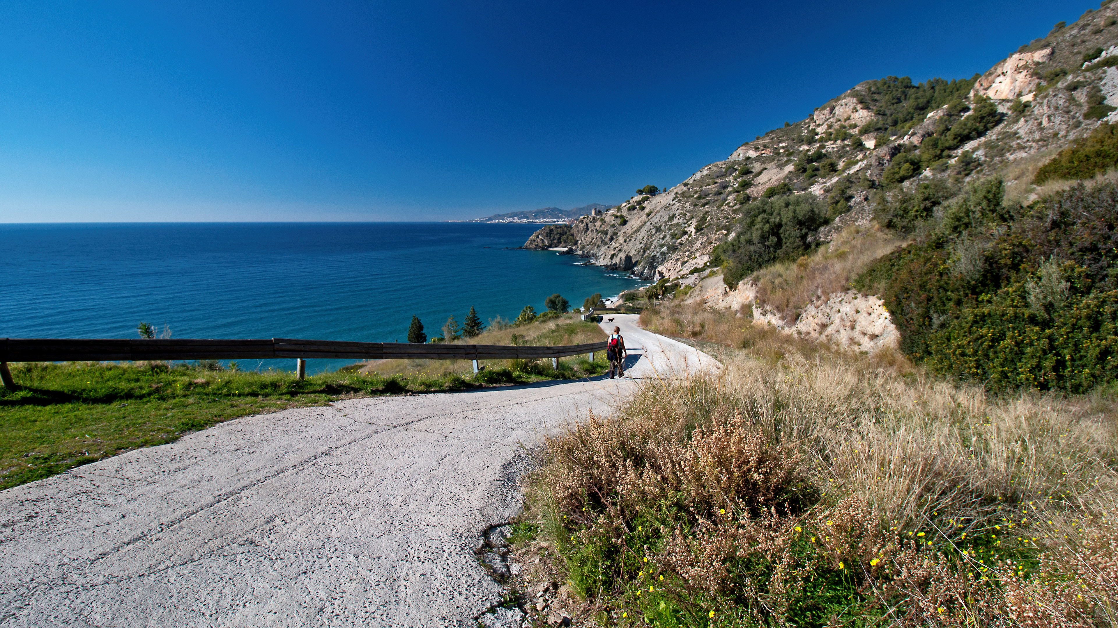 Amazing Coastline