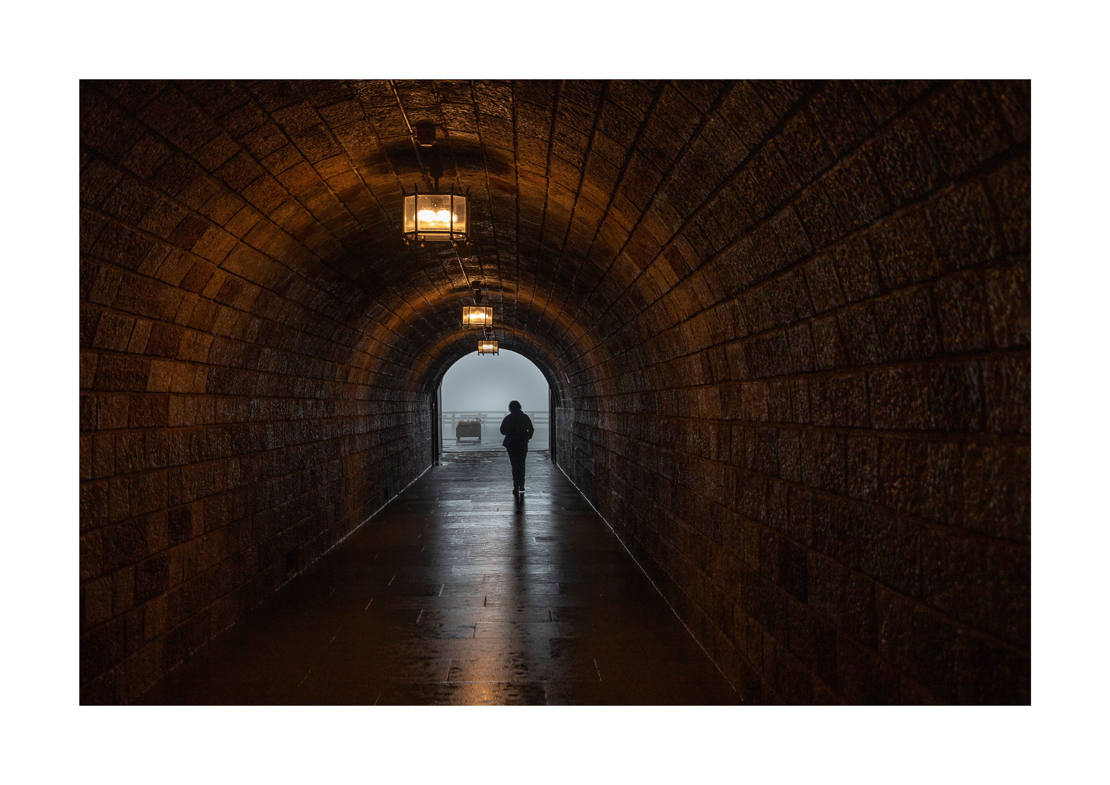 To the Light (accepted)