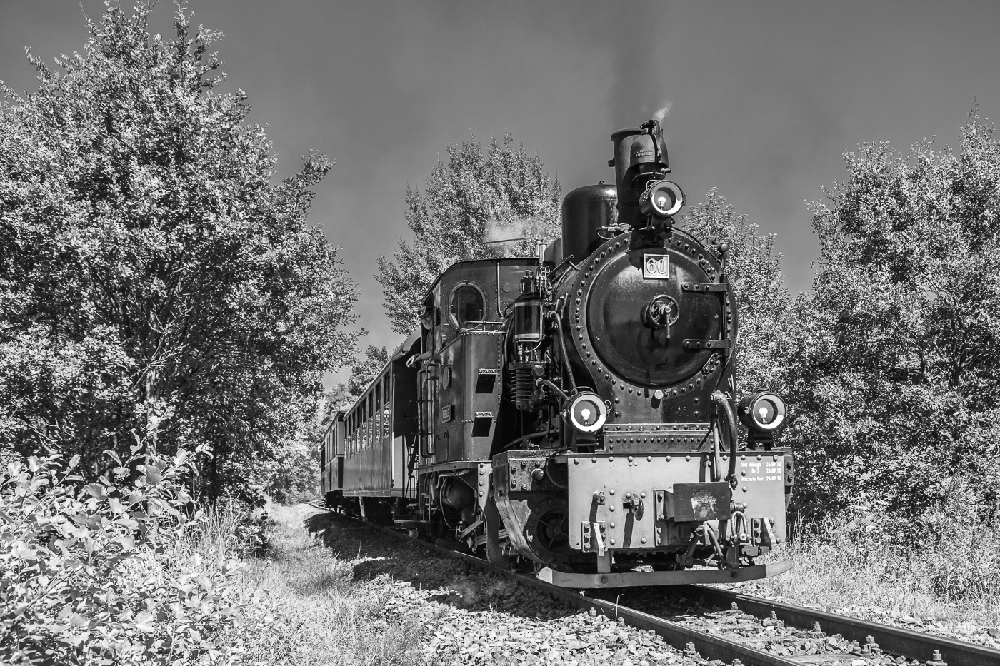 Steam