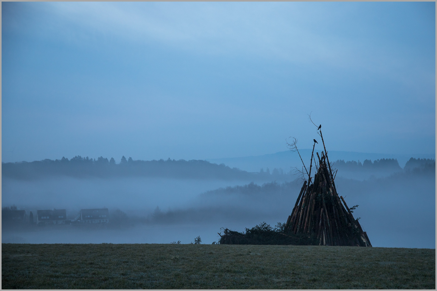Fog