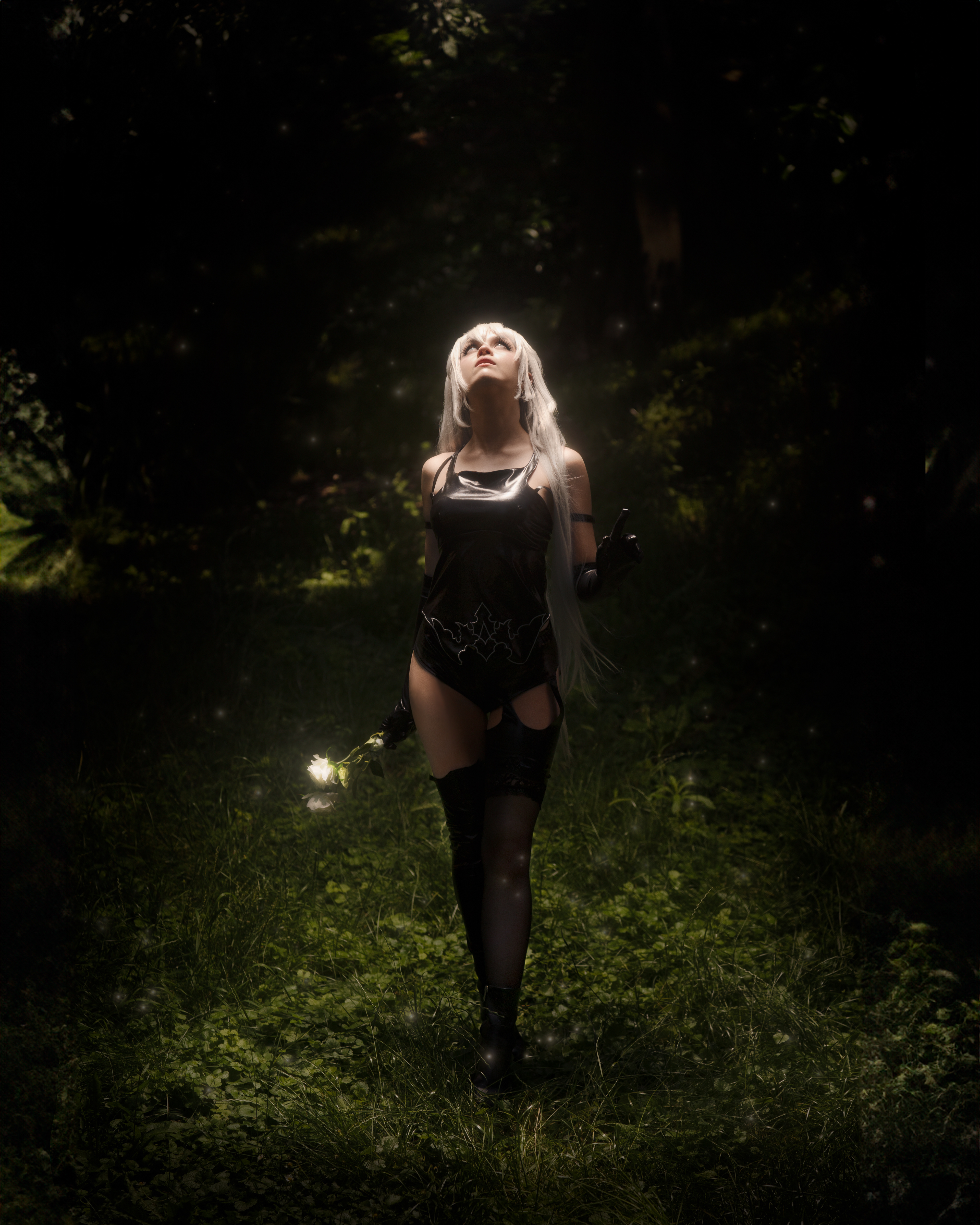 A2_TAOXMEI