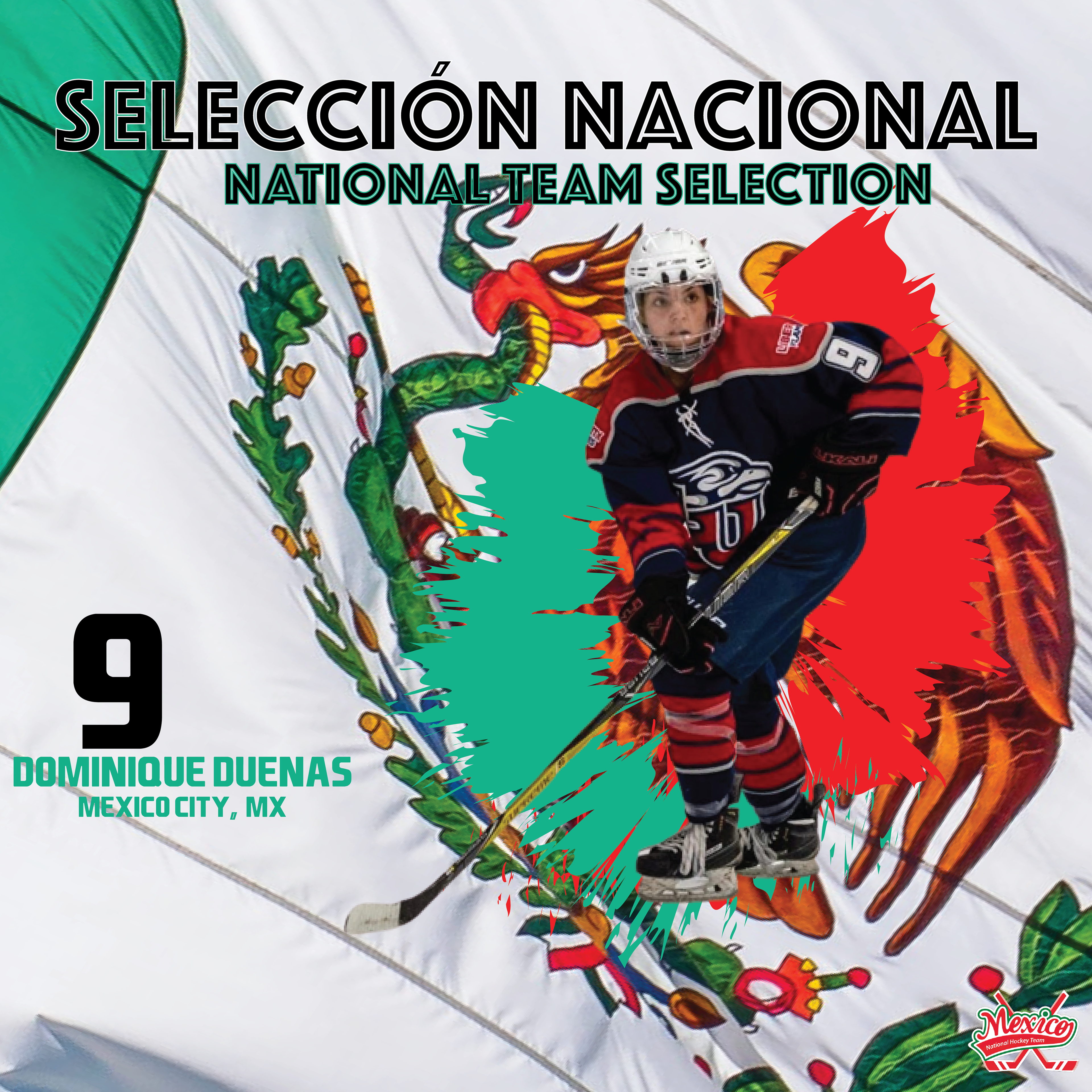 International Hockey Graphic