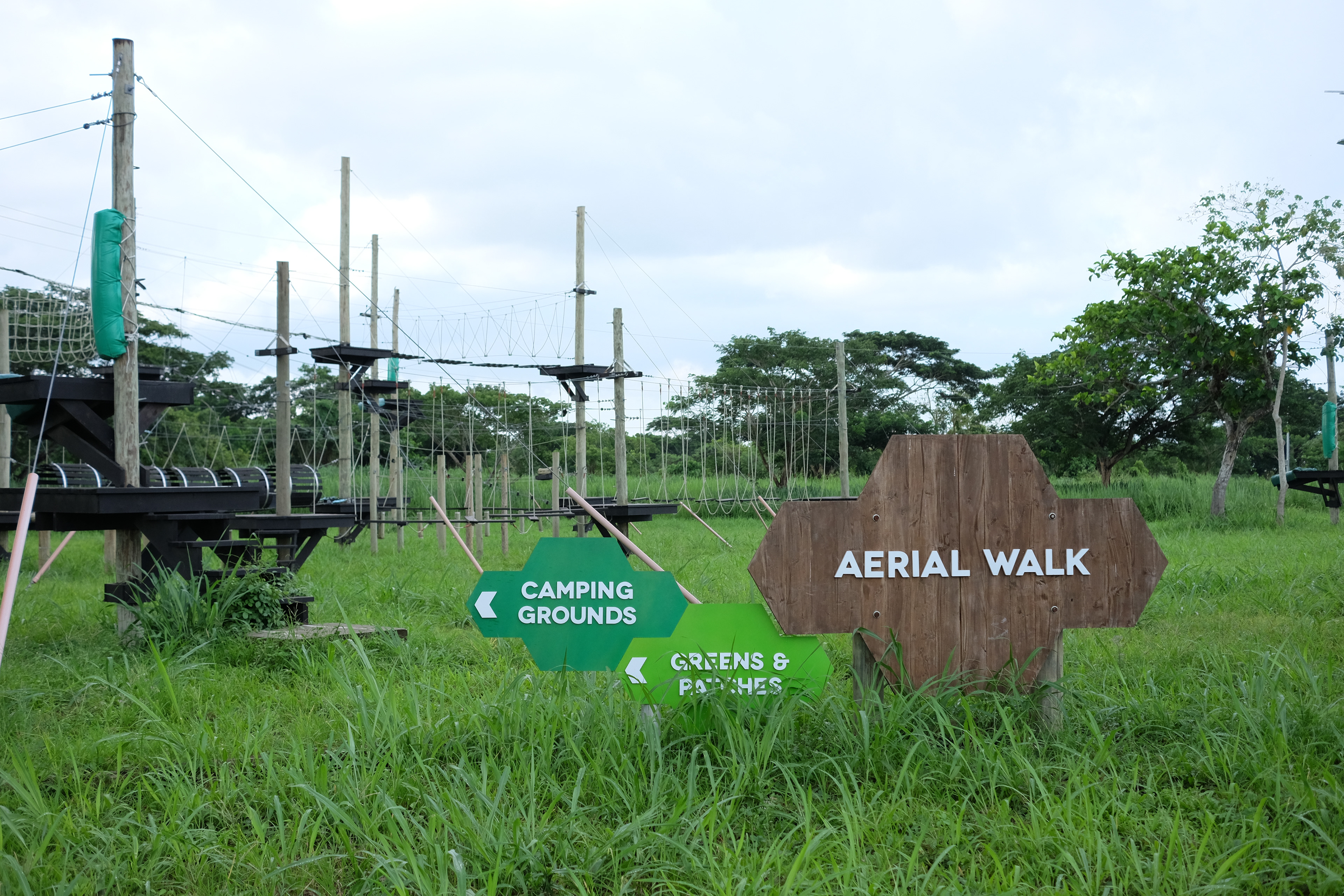 Brand Development and Environmental Graphic Design