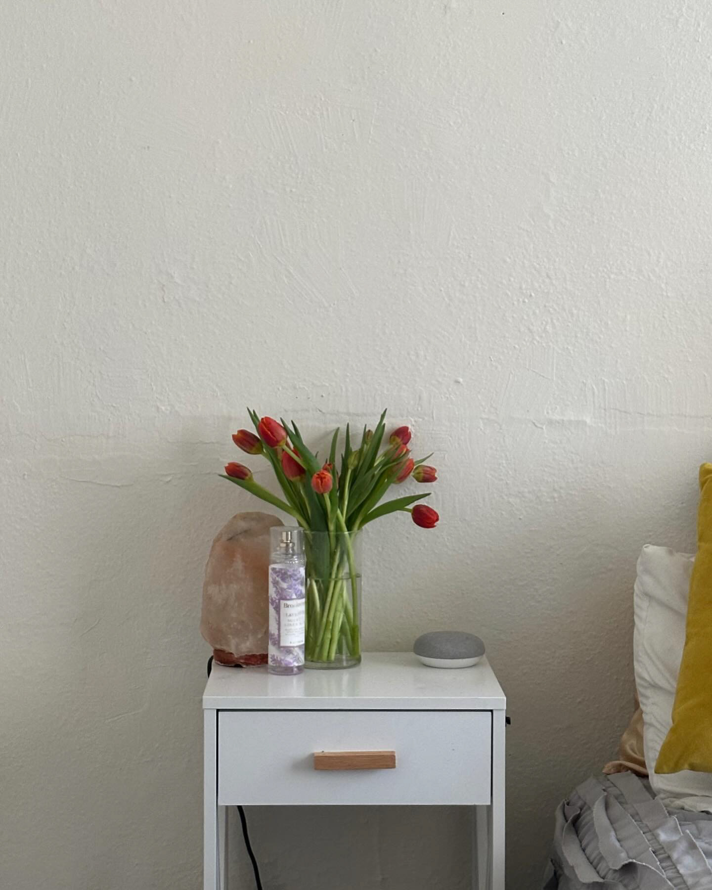 College Apartment, Tuscaloosa, Alabama