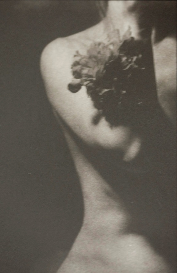 Title: Dangerous Curves 1 | Personal Project | Tools: Film, Digital Negative, Platinum & Palladium Print