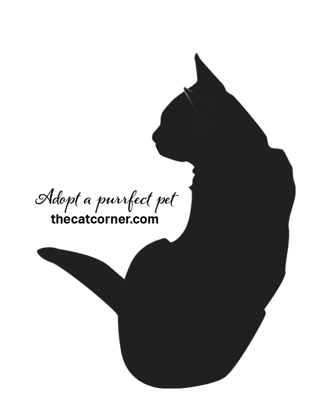 Title: Cat Graphic | Project: Graphic for merchandise | The Cat Corner | Tools: Adobe Illustrator & InDesign