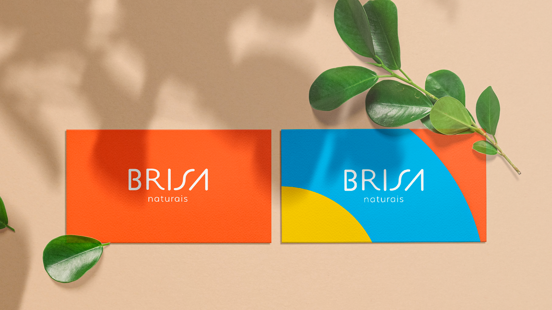BRISA / 3