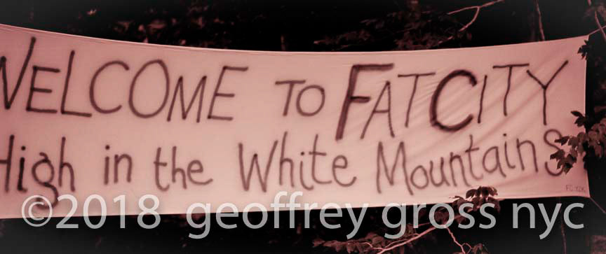 CyberViewX v5.16.55Model Code=72F/W Version=1.06