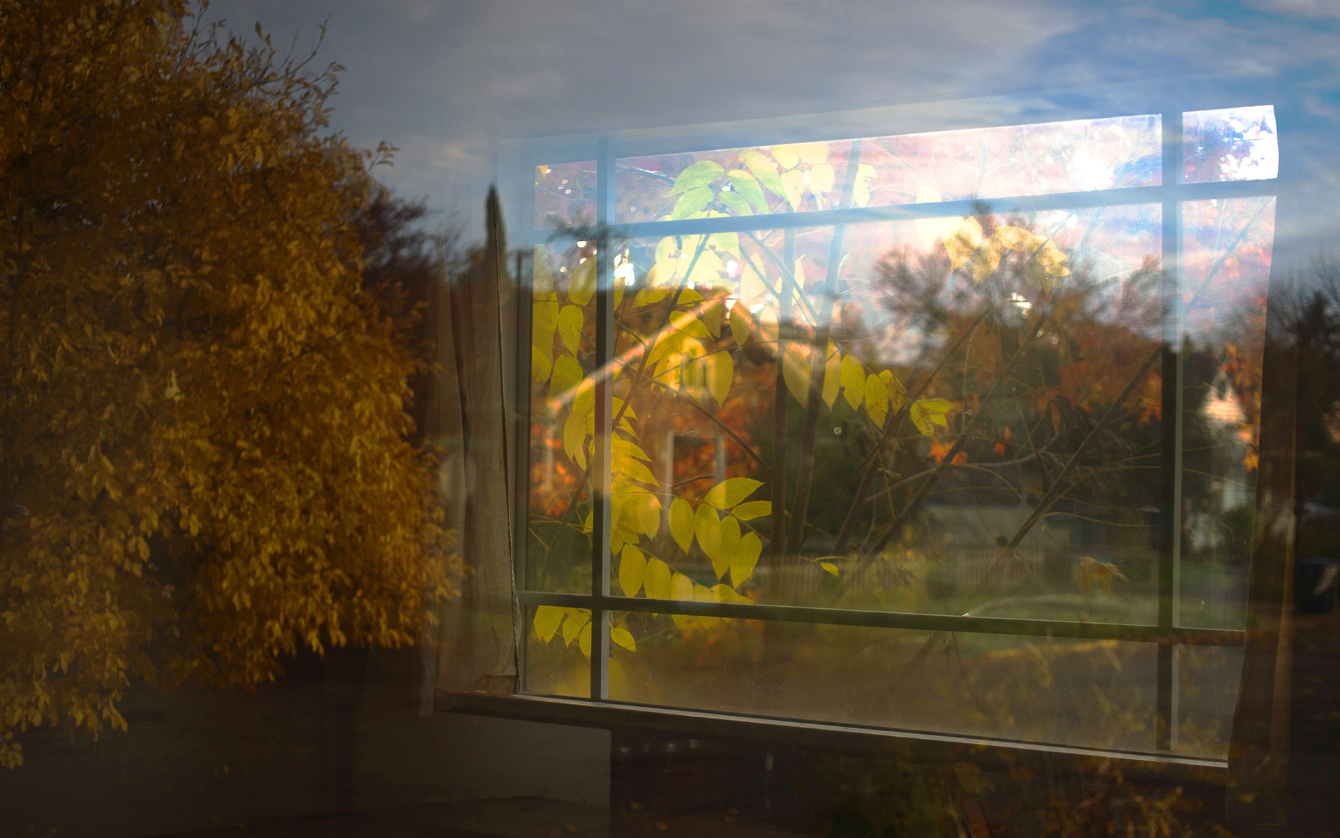 "The Wrong House" is another study in double reflections-house that we see is actually not the house on the other side of this window, but a house behind the photographer.