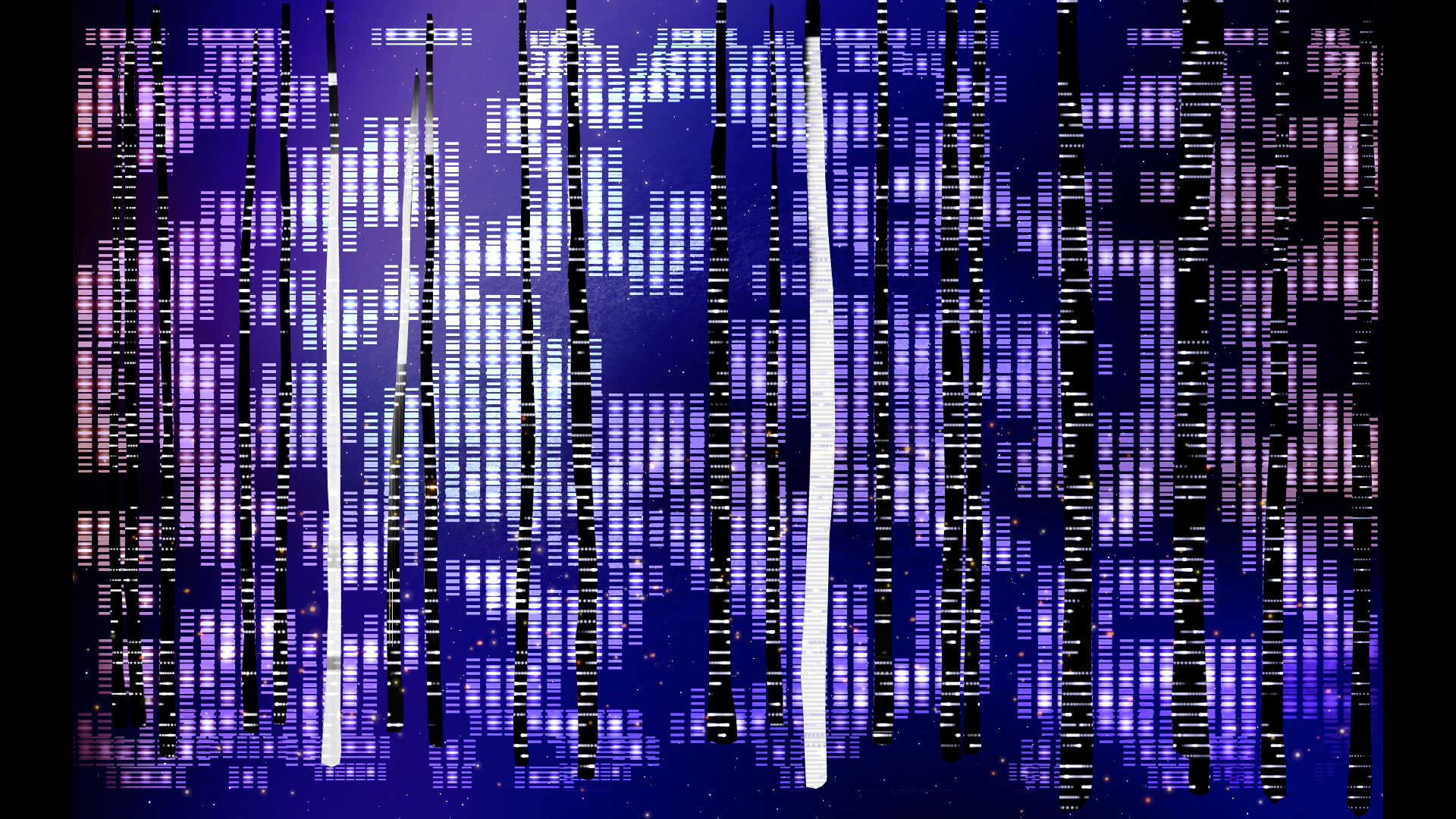 Raw export stills from the template created from the site light map, later projection-mapped on location.