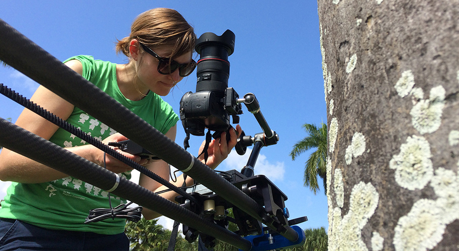 Collecting live action elements to composite with animations (Photo: Christopher Brannan)