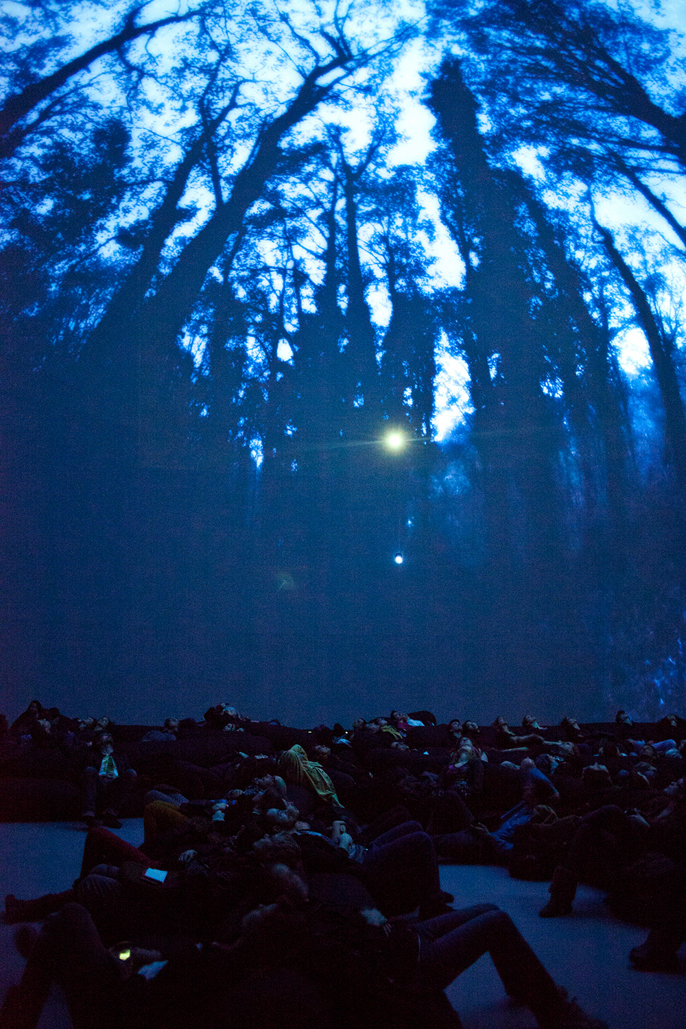 'P3rception' screening at the SATosphere in Montreal 2013. Photo: Sebastien Roy