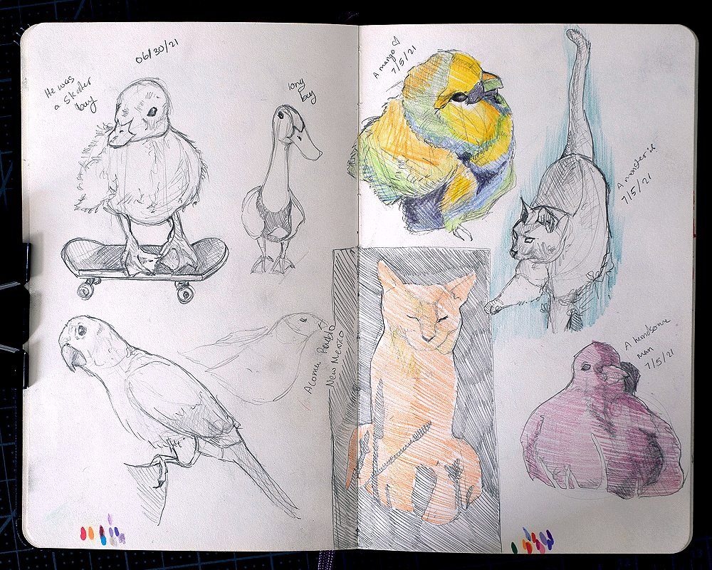 Animal Study pg. 11-12