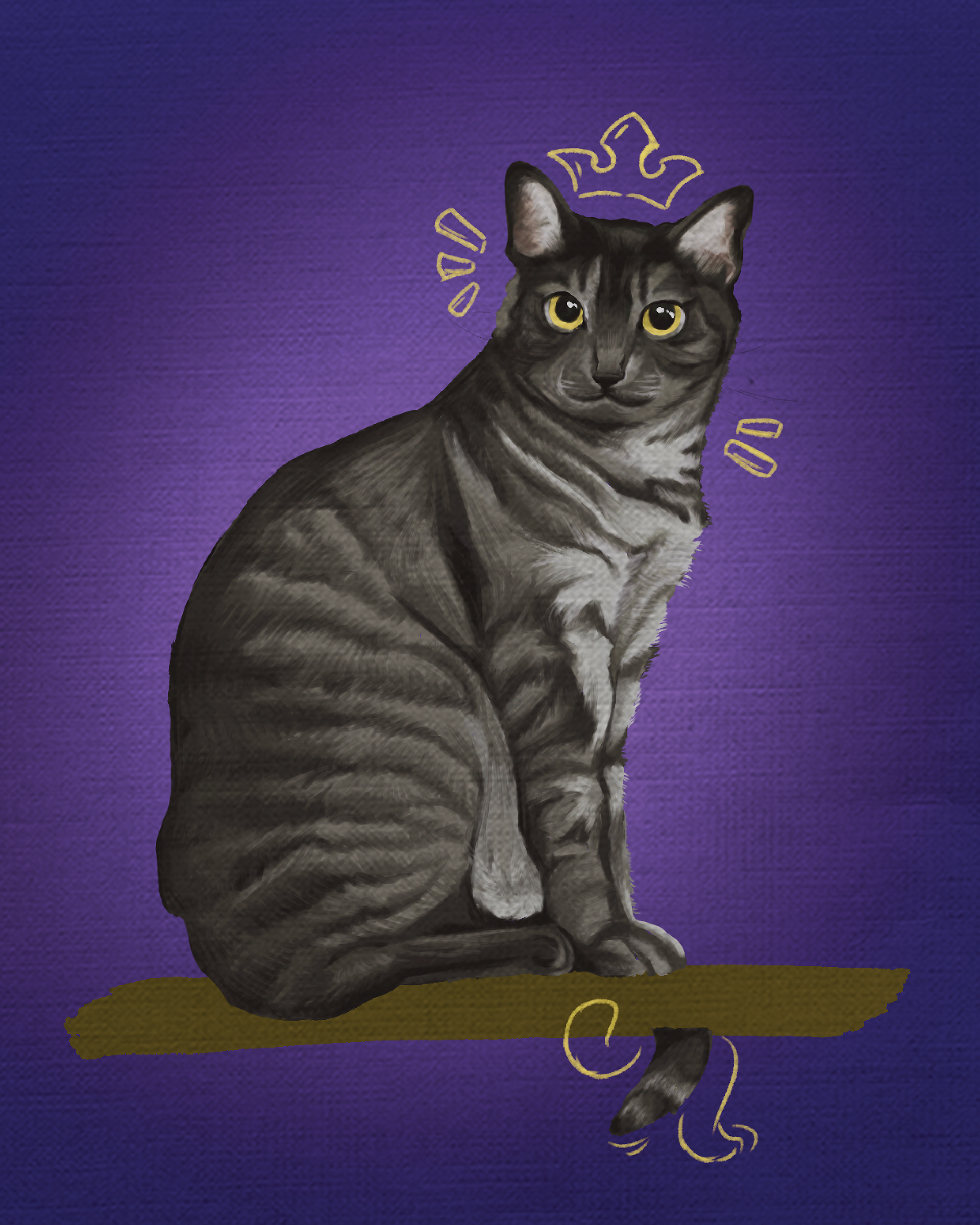Illustration of my friend's cat