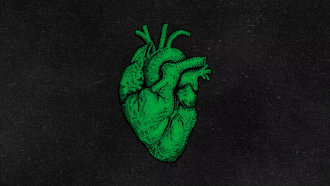 The Heartbeat of Austin, looped on the big screen with light+sound show at the start of every match