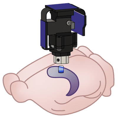 calcium imaging schematic