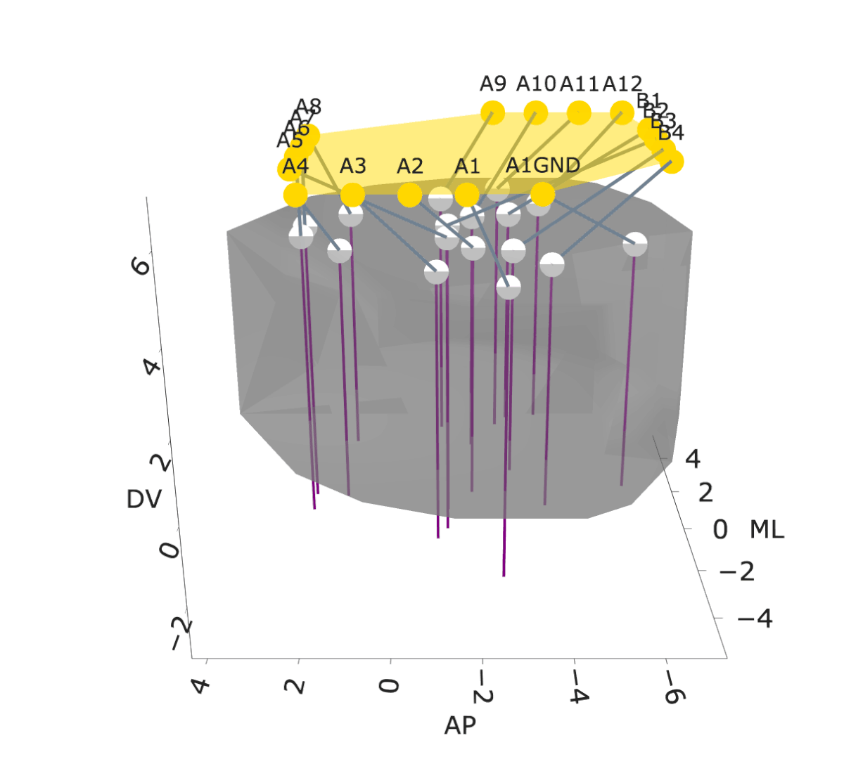 NightCap to record across 16 brain regions simultaneously