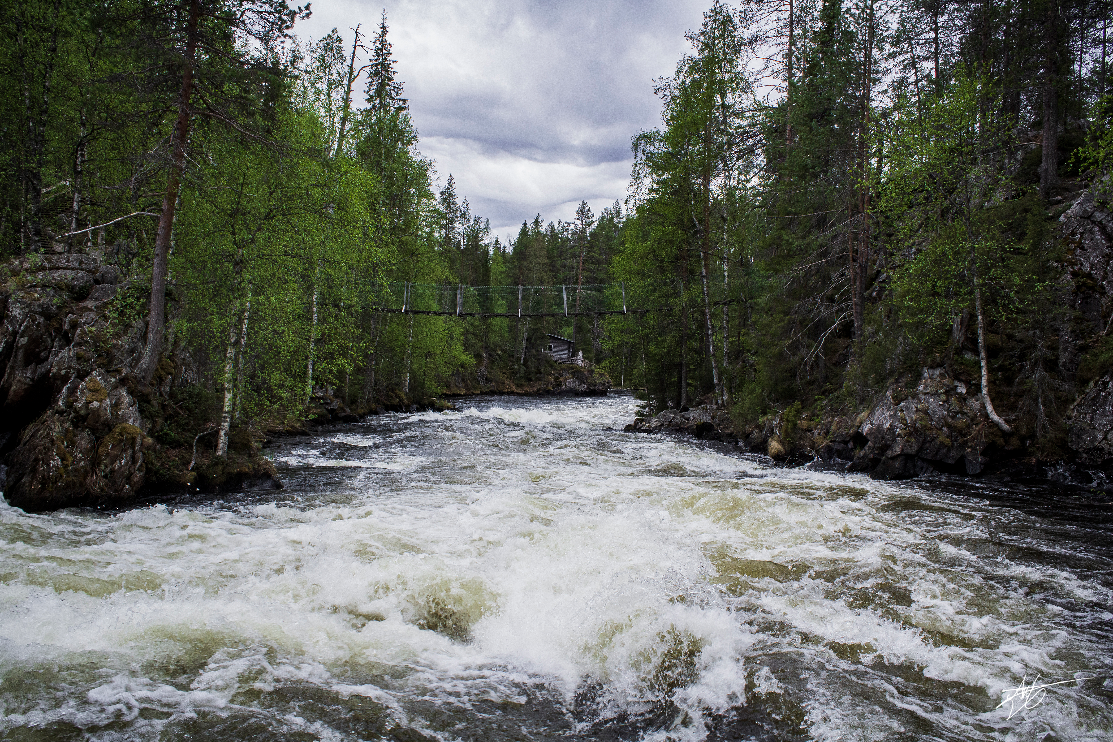 The mill rapids (Myllykoski). Oulanka National Park.