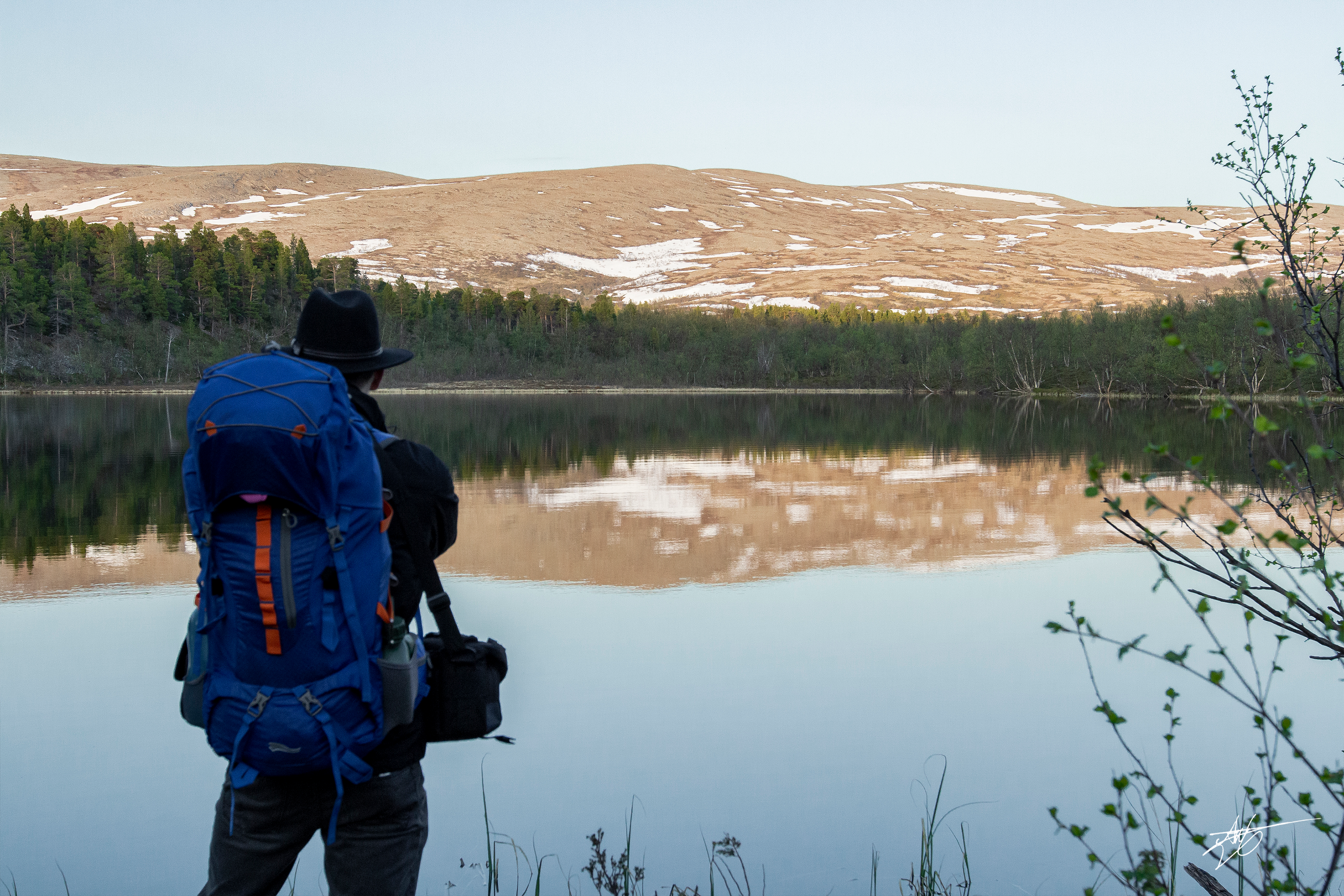 Midnight sun. Stabbursdalen National Park.