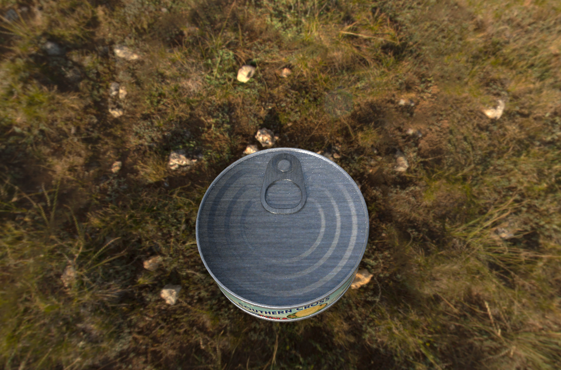 Surfaced Tuna Food Can (3D Model NOT mine), 2024, Created in Adobe Substance 3D Painter