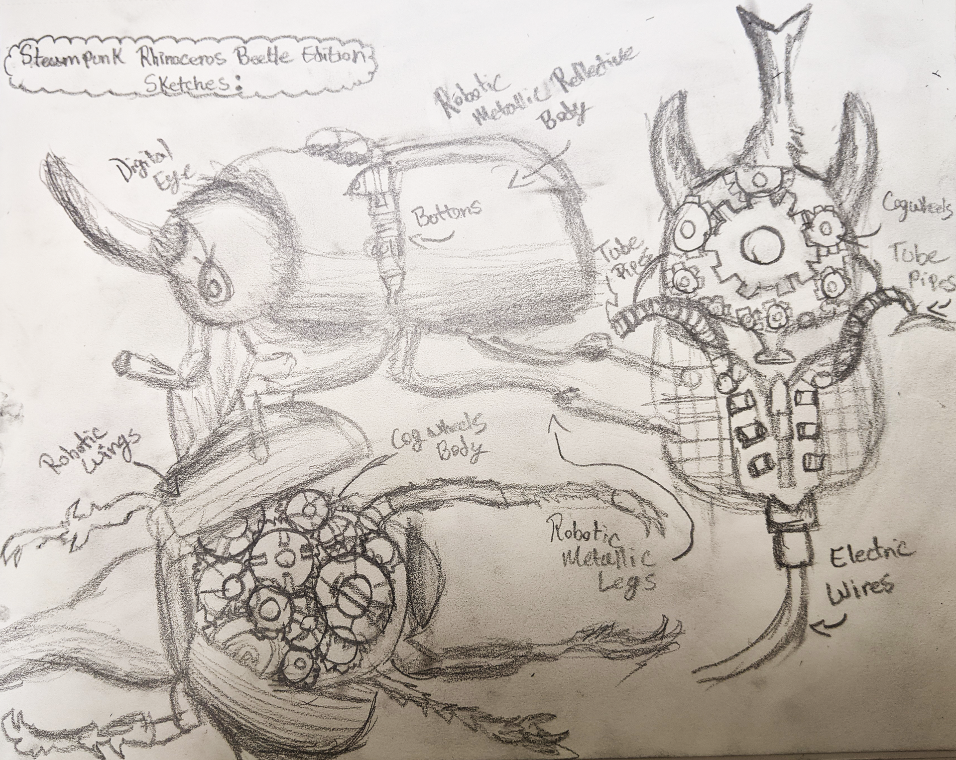 Steampunk Rhinoceros Beetle Preliminary Sketches, 2023, Sketchbook Paper/Graphite Pencil, 9"x12" in.