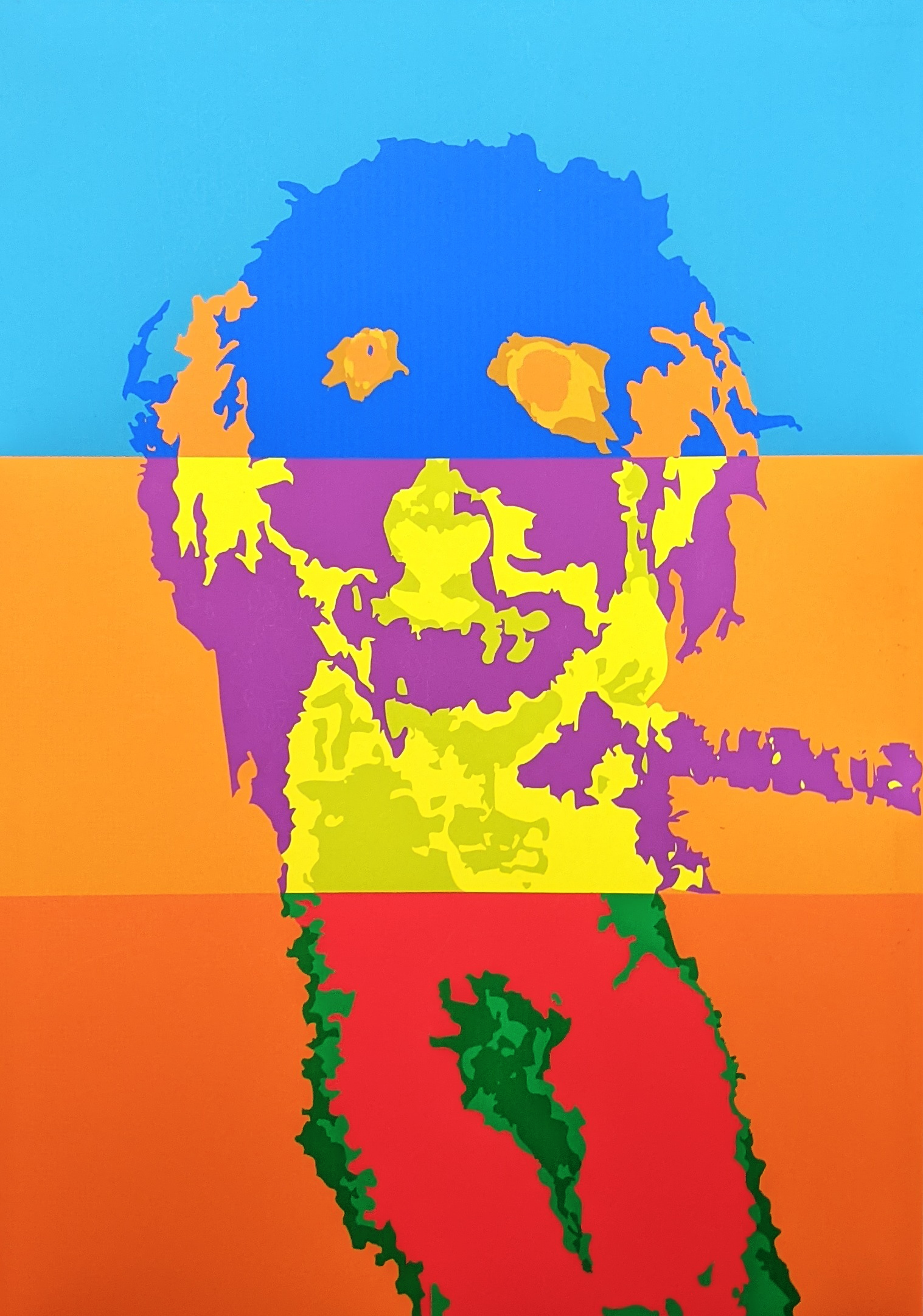 Complementary Colors, 2022, Created in Adobe Illustrator, 12"x18" in.