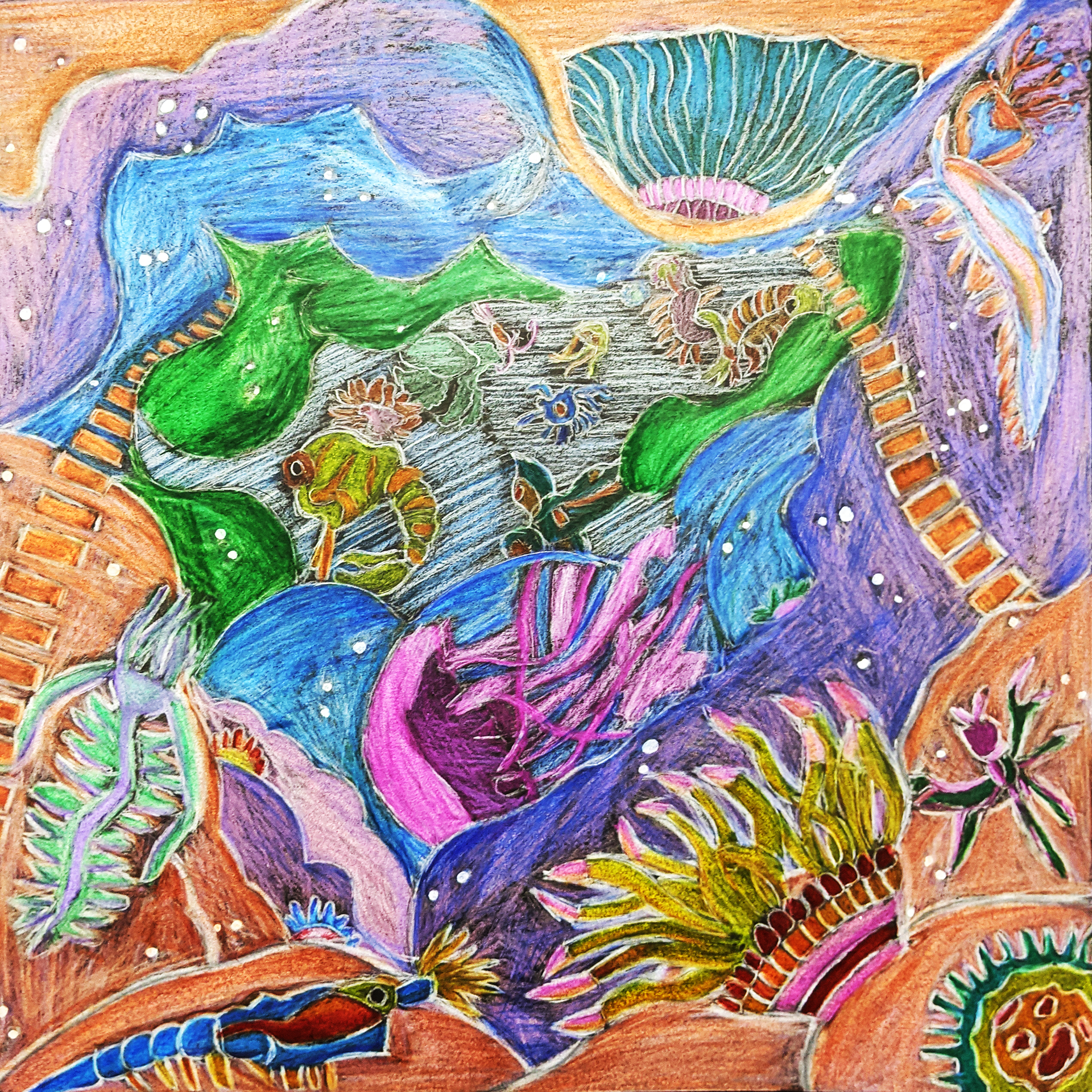 Microscopic Space, 2022, Black Cardstock Paper/Prismacolor Colored Pencils, 12"x12" in.