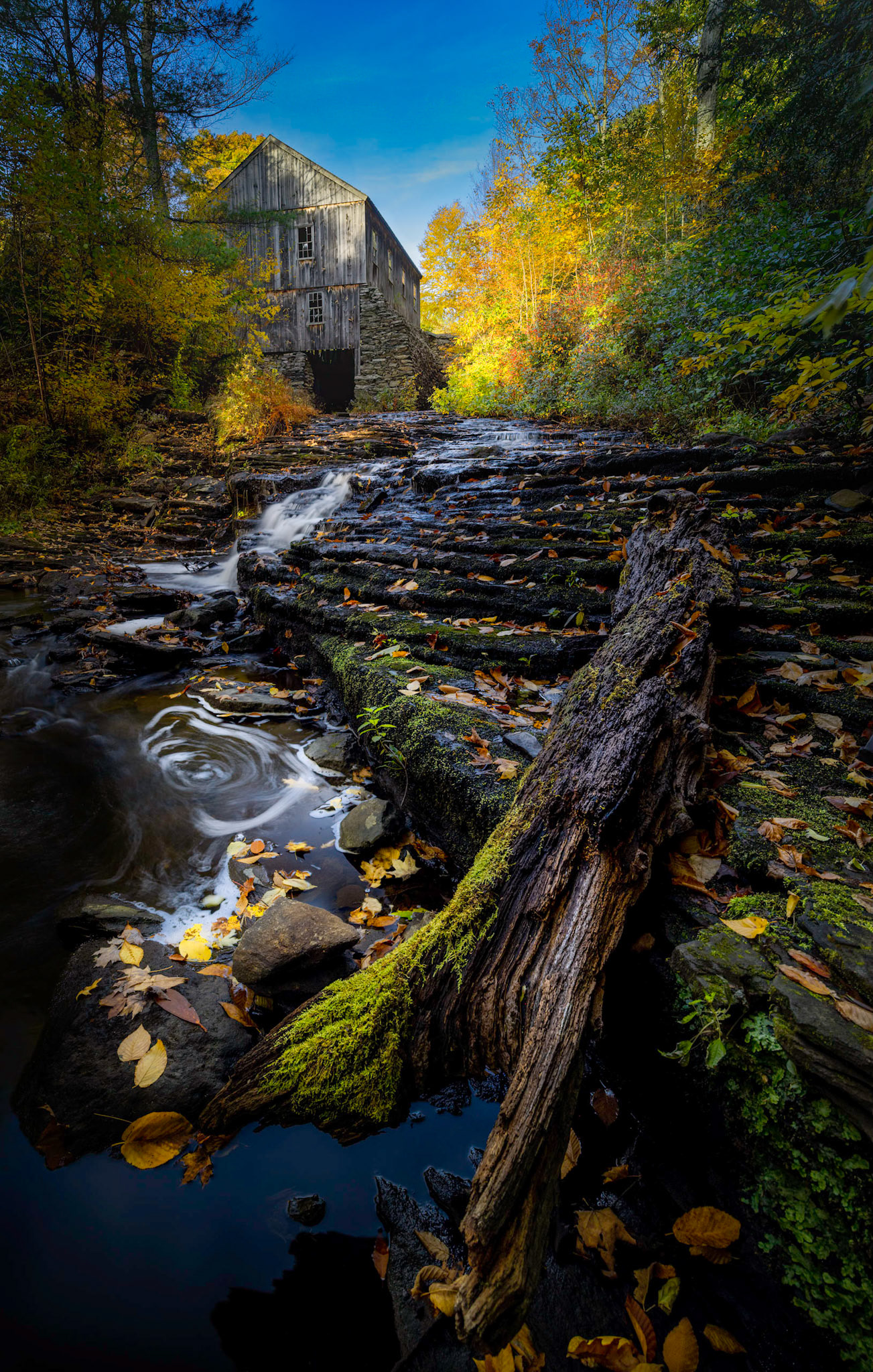 Old Sawmill Moore State Park