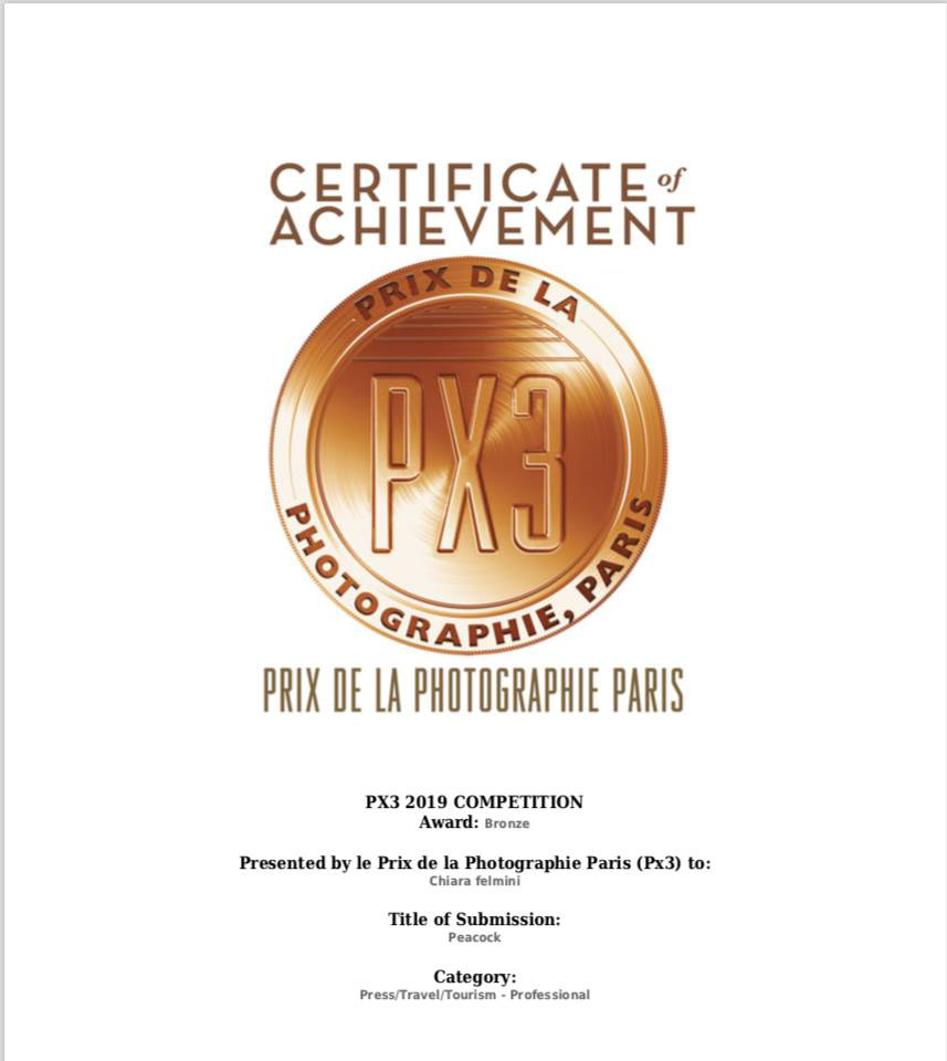 Menzione d'onore al PX3 di Parigi