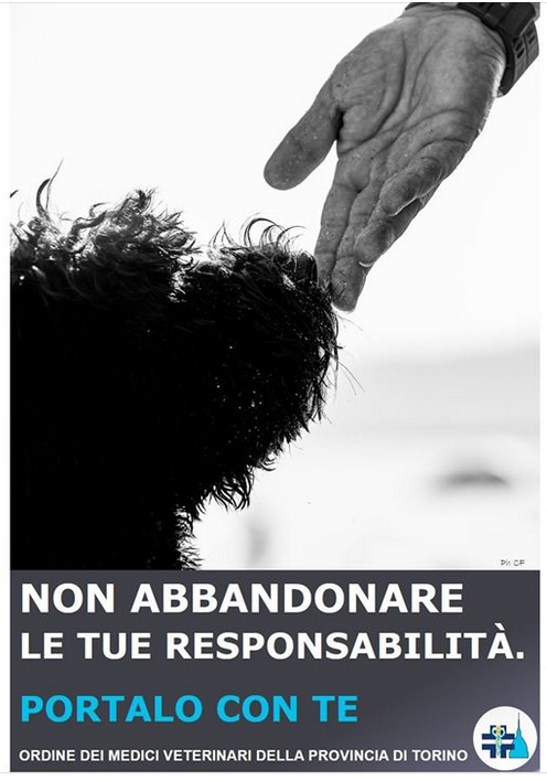 Utilizzo di uno scatto per la campagna antiabbandono