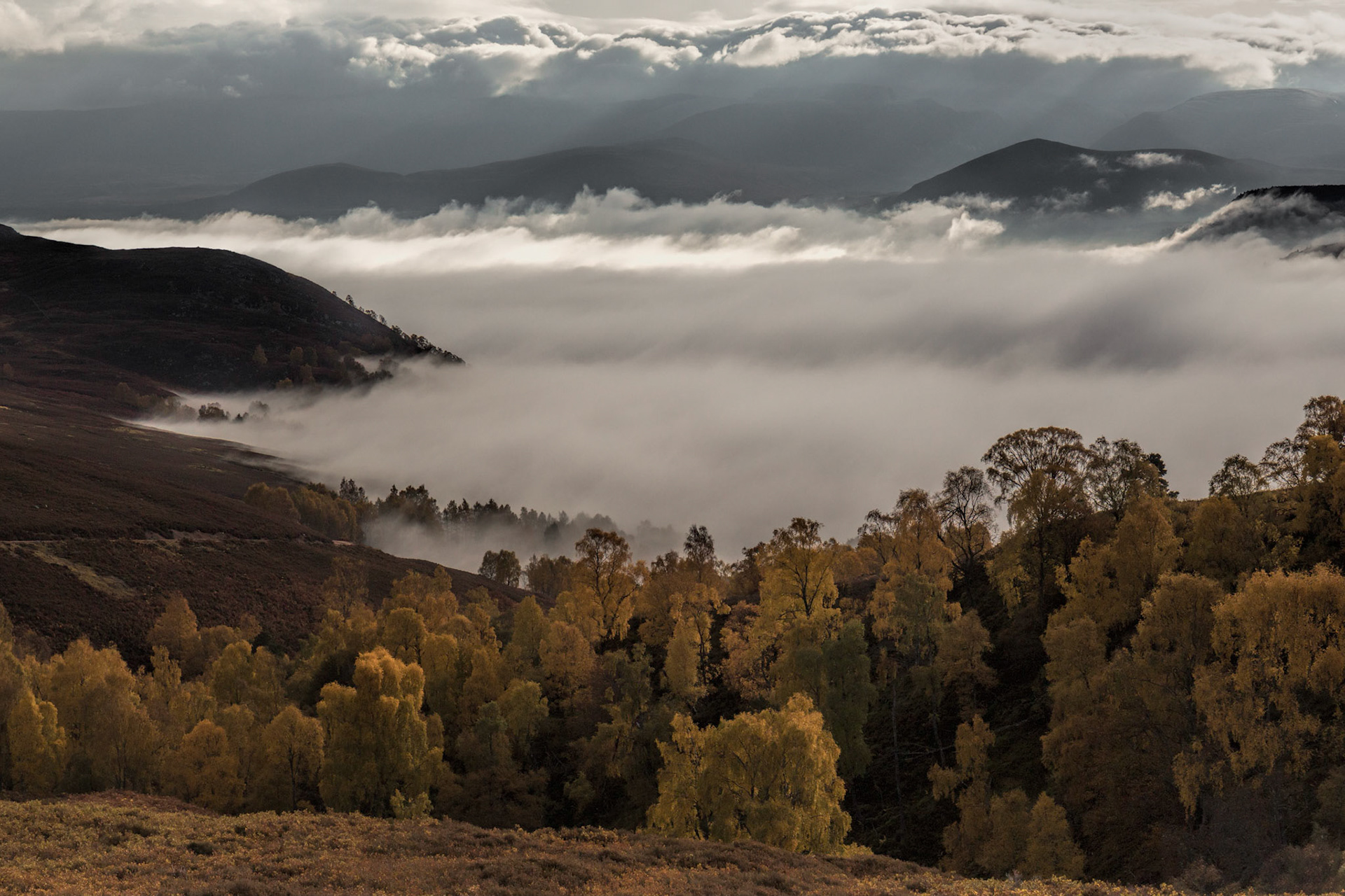 Above Loch Alvie