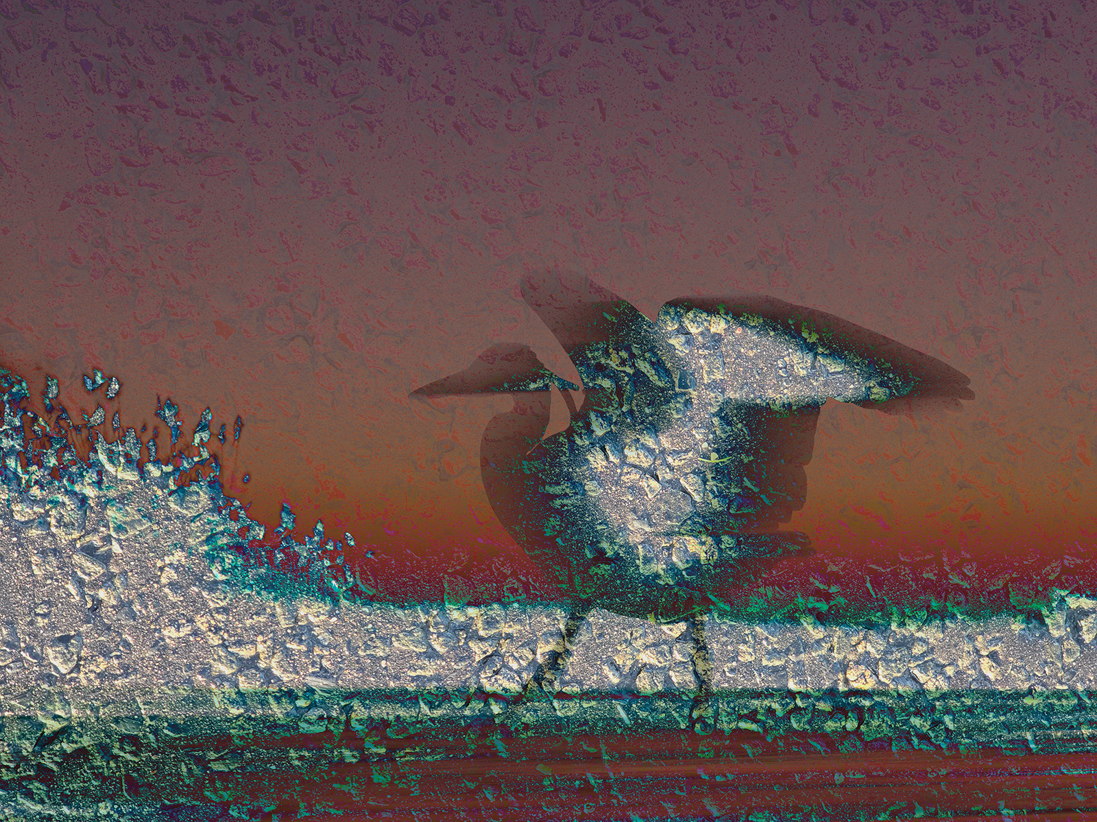 Heron at Sunset