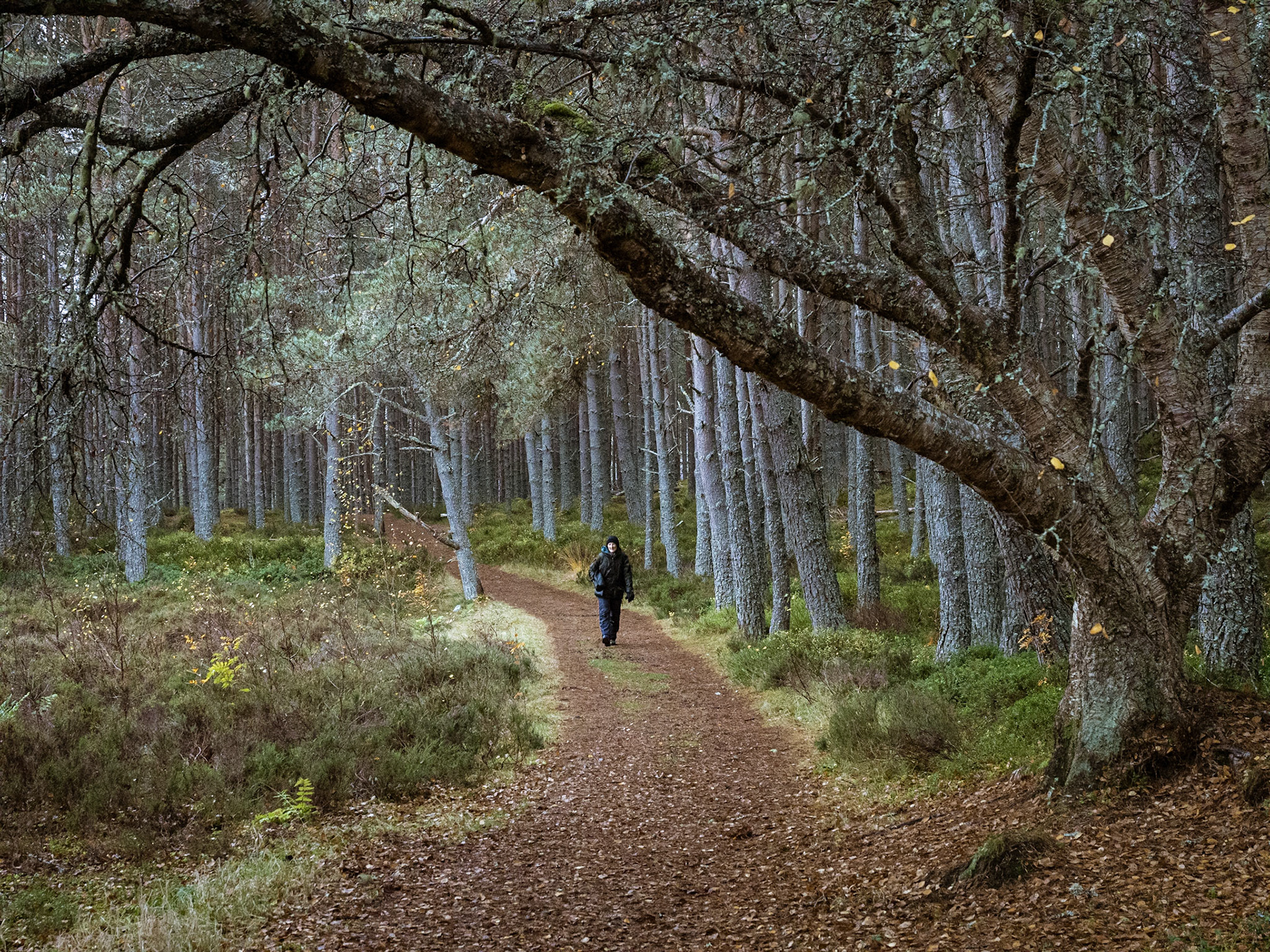 Around Uath Lochan