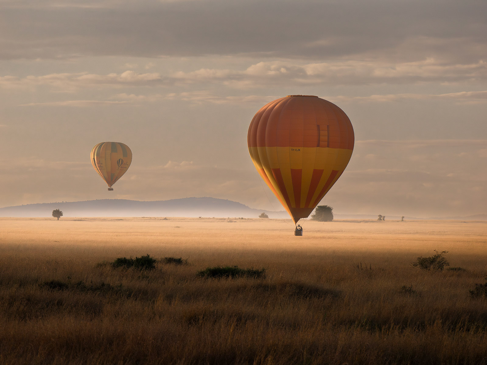 Hot Air Balloons