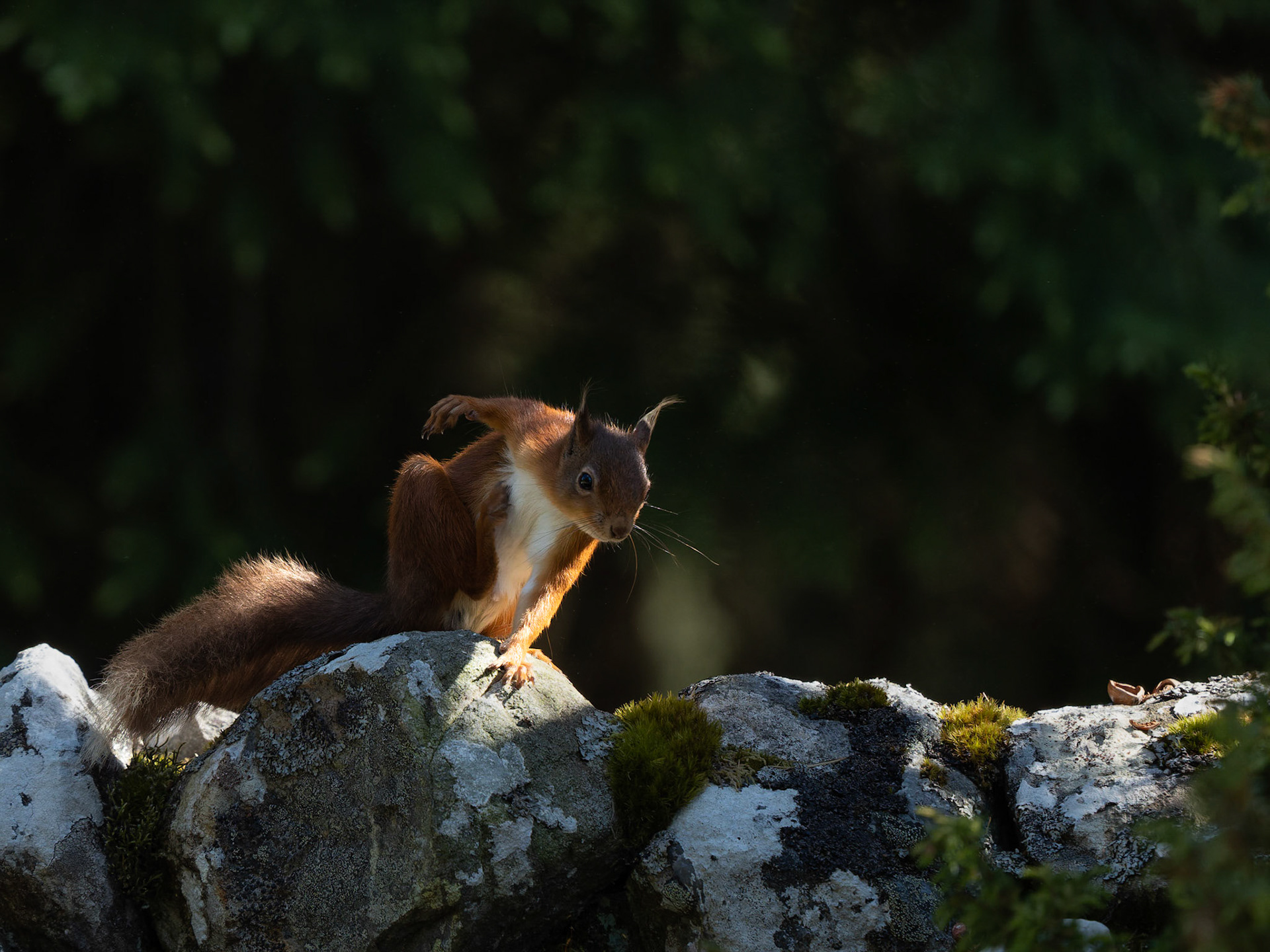 Scratching