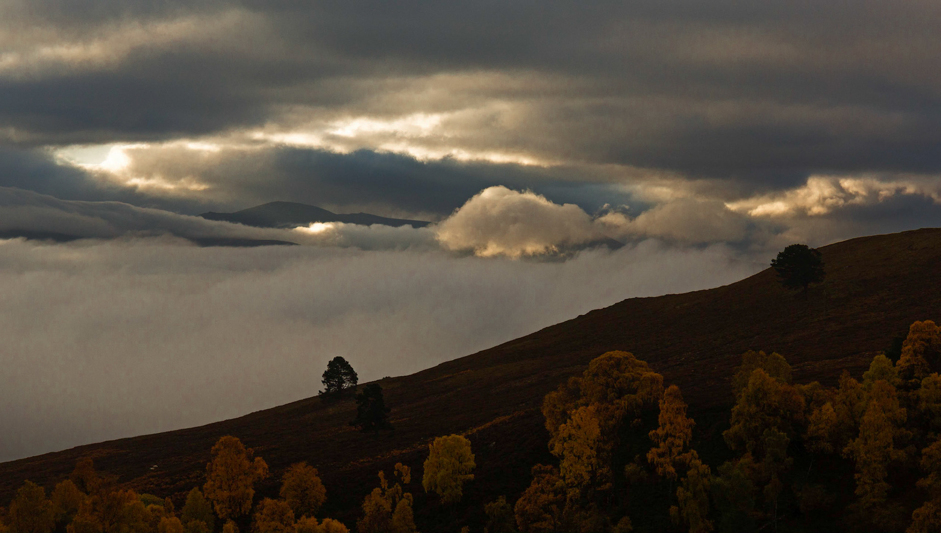 Above Loch Alvie
