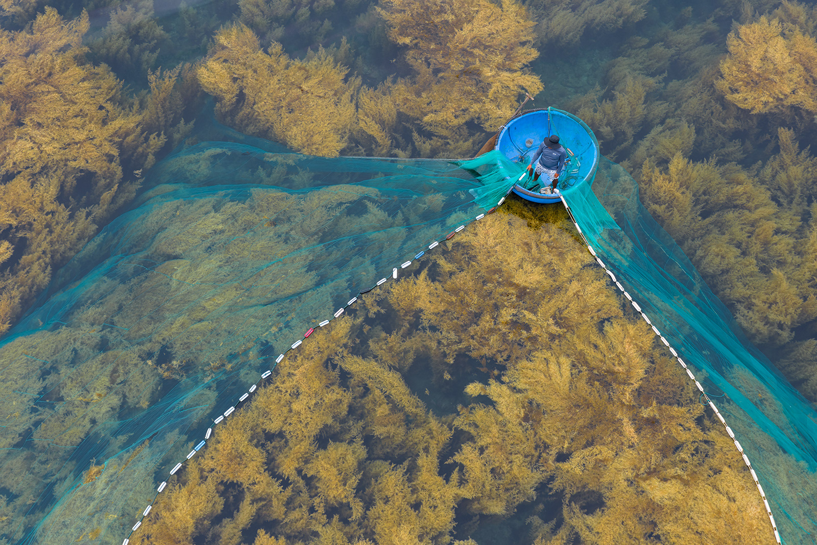Fishing using a coracle boat - drone photo